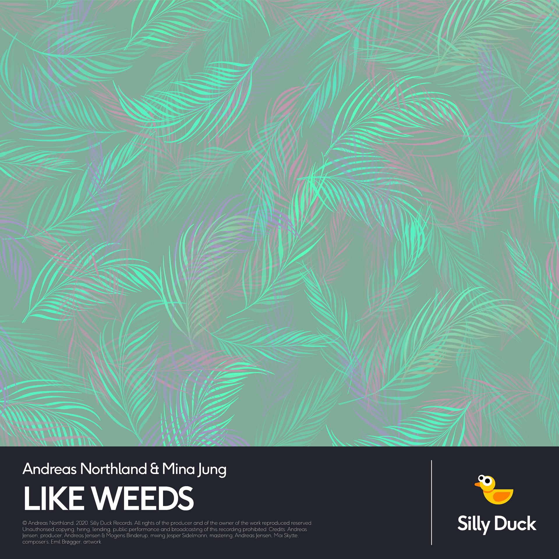 Постер альбома Like Weeds