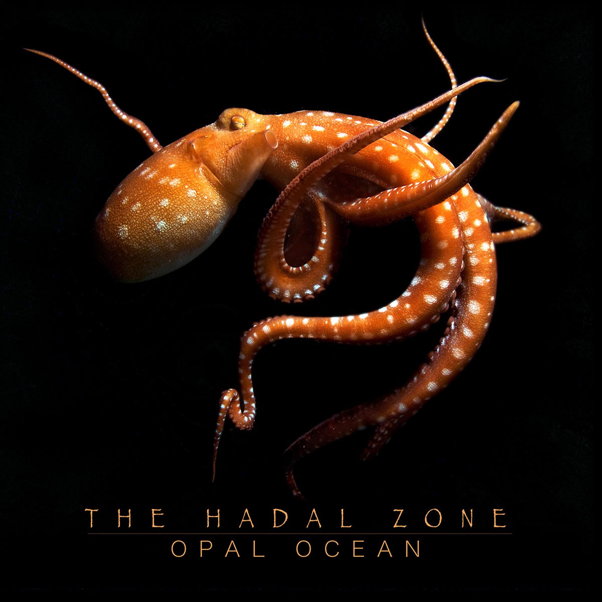 Постер альбома The Hadal Zone