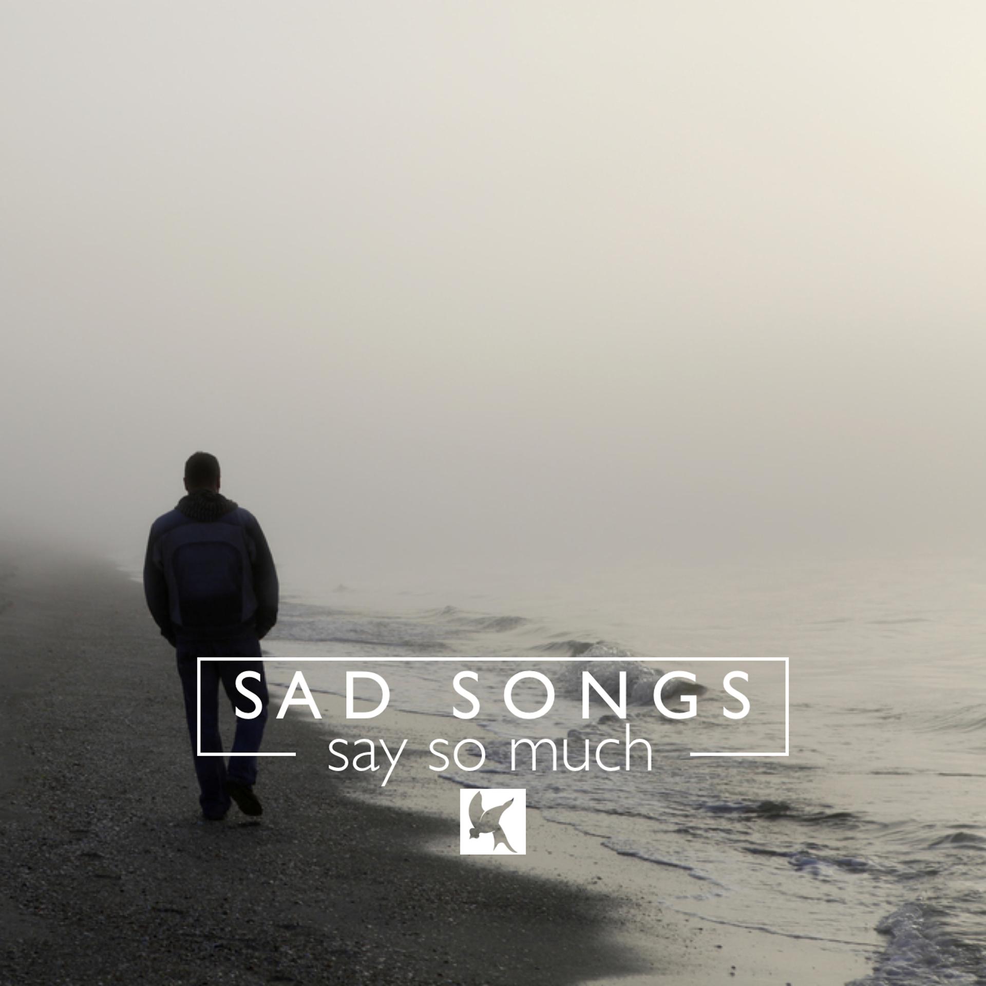 Постер альбома Sad Songs Say so Much