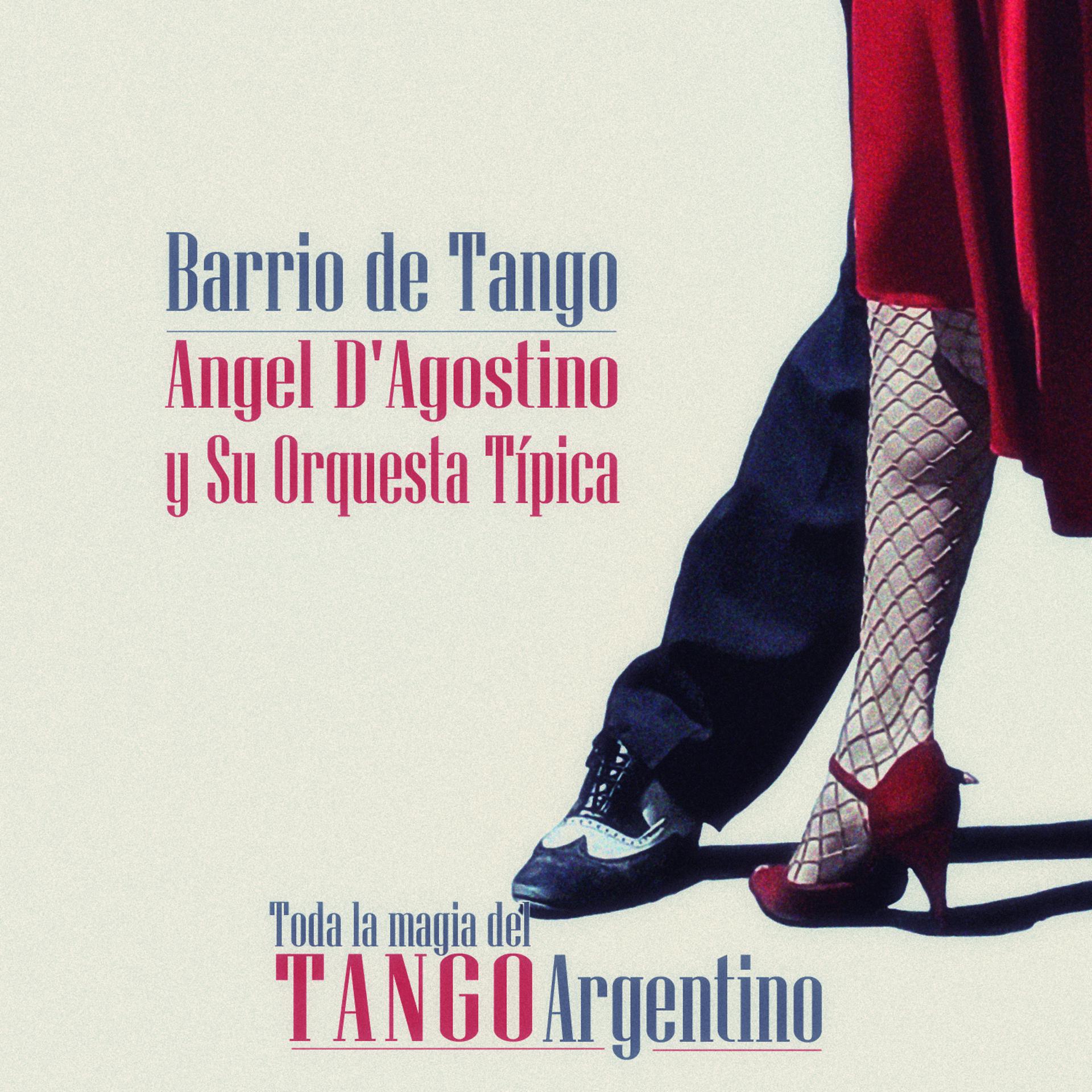 Постер альбома Barrio de Tango