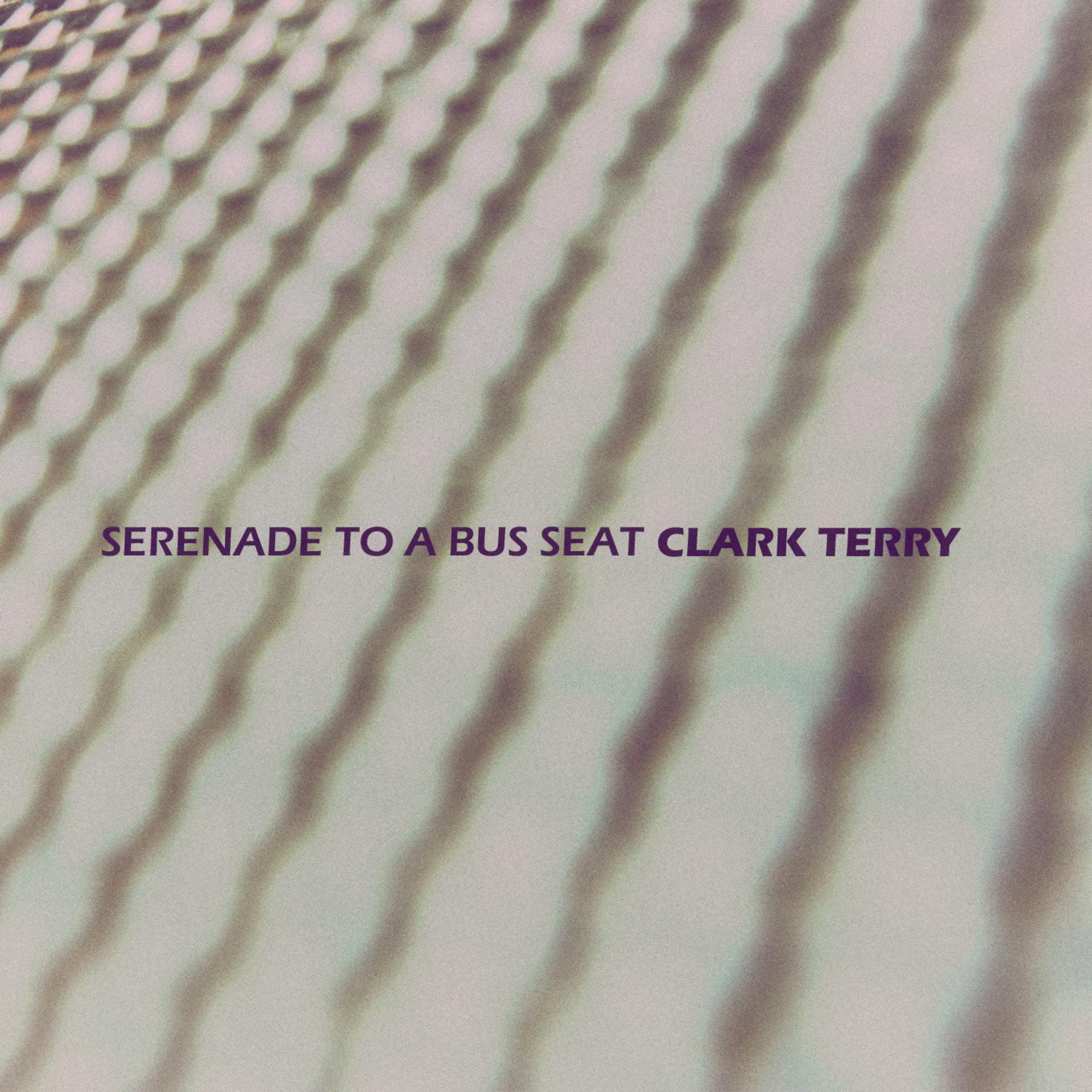 Постер альбома Serenade to a Bus Seat