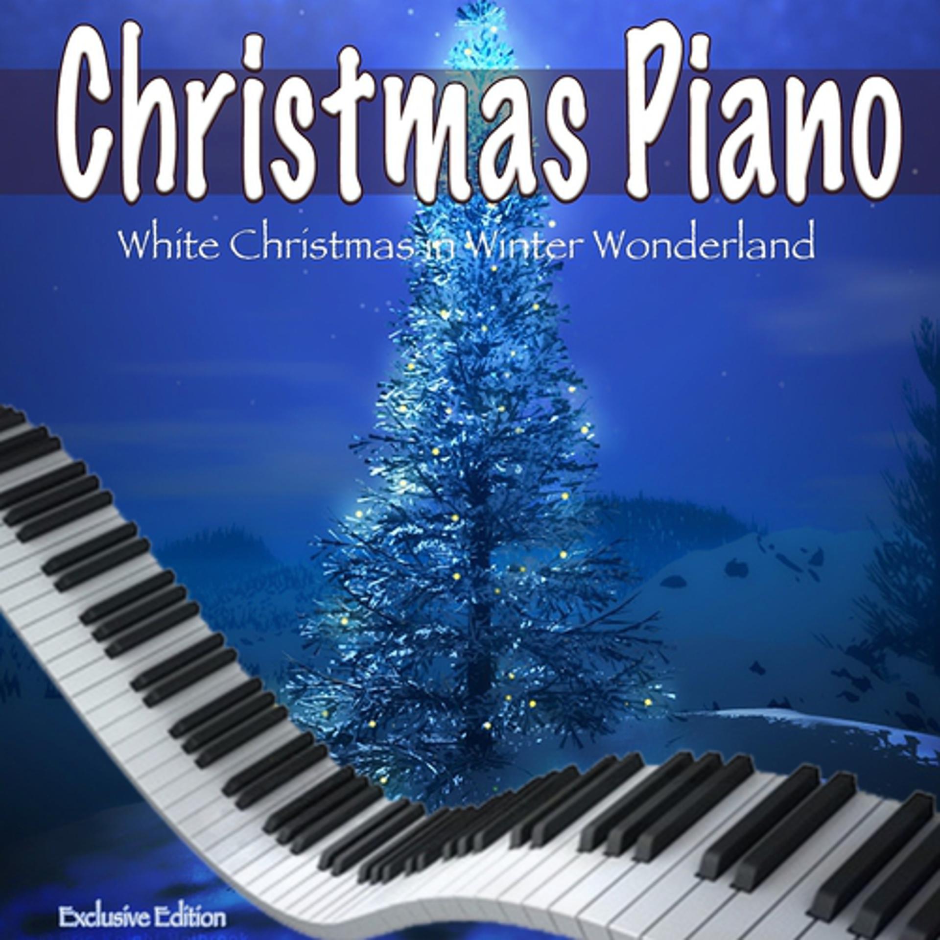 Постер альбома Christmas Piano Moods