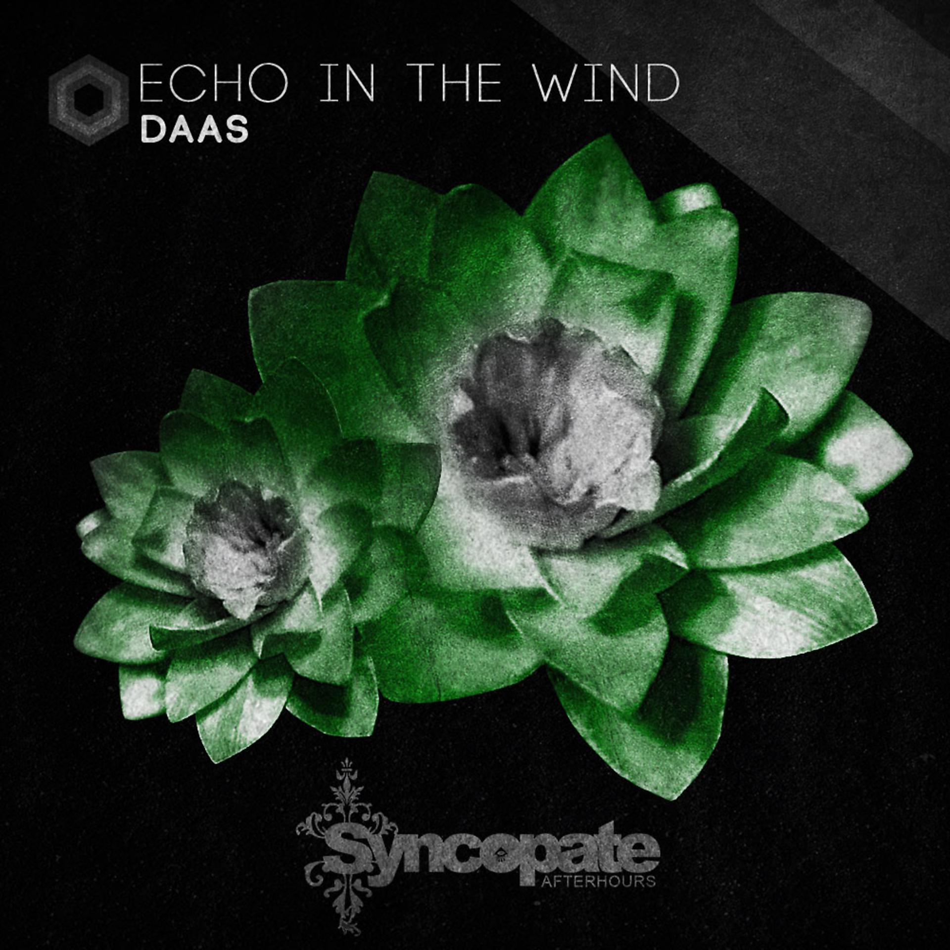 Постер альбома Echo in the wind