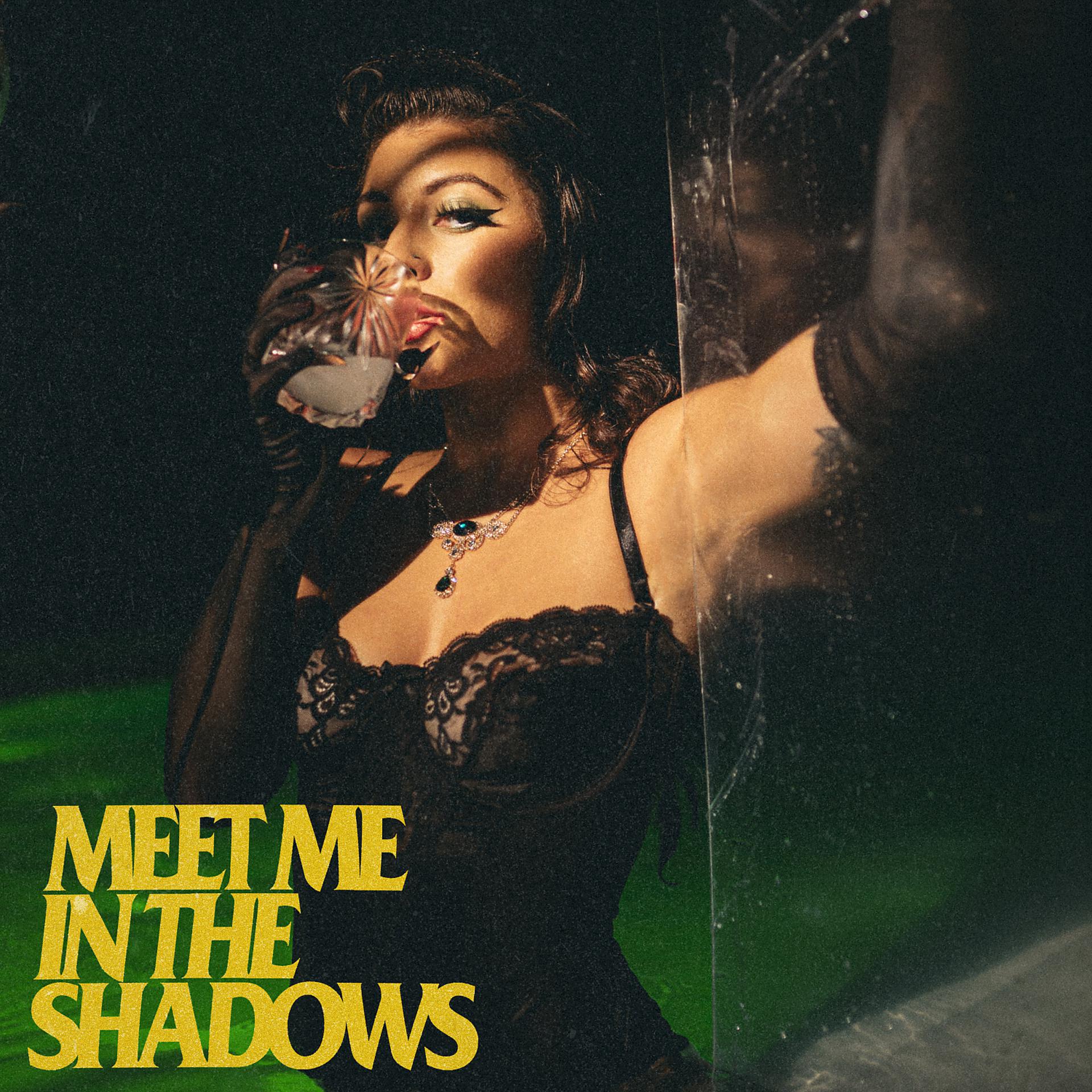 Постер альбома Meet Me In The Shadows