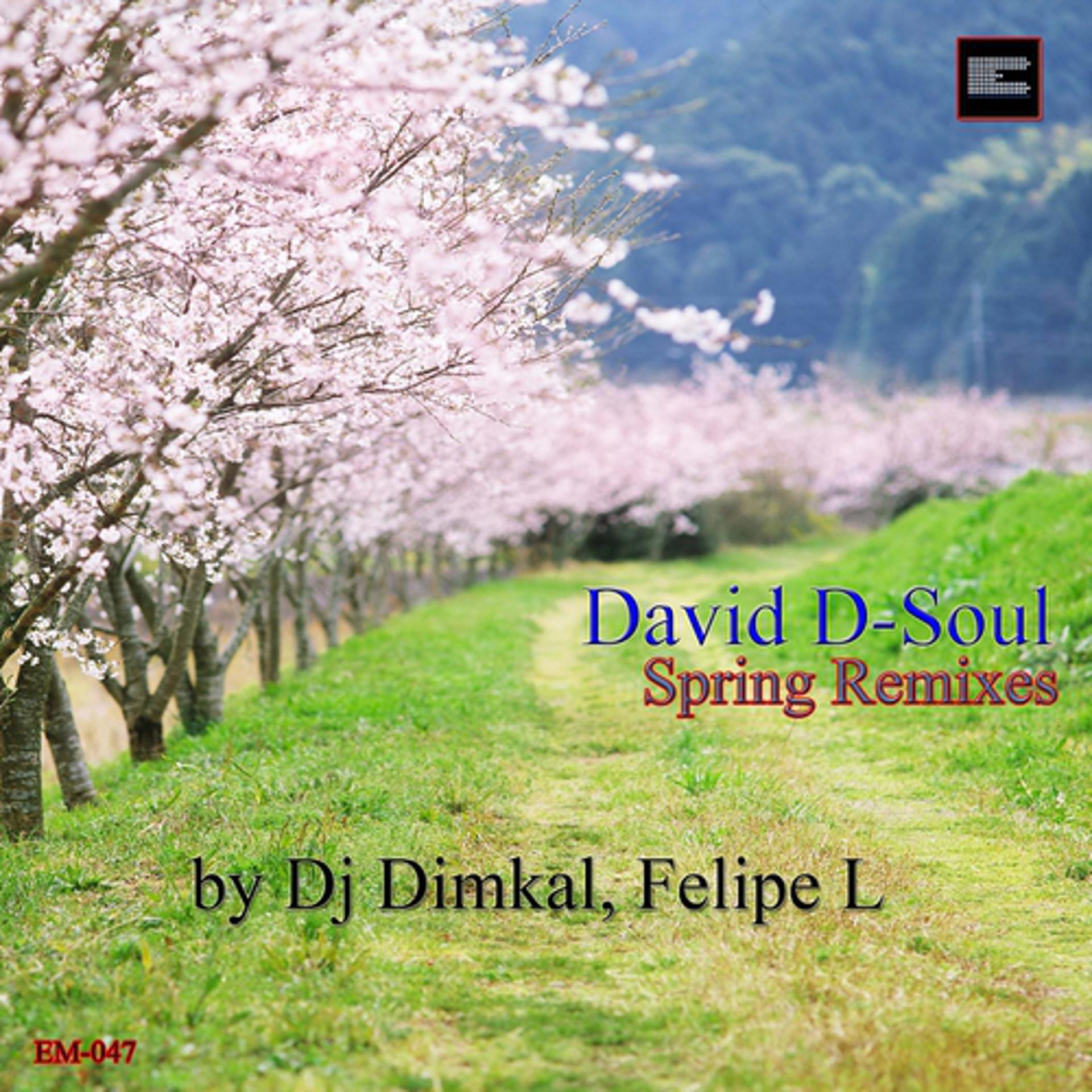 Постер альбома Spring Remixes