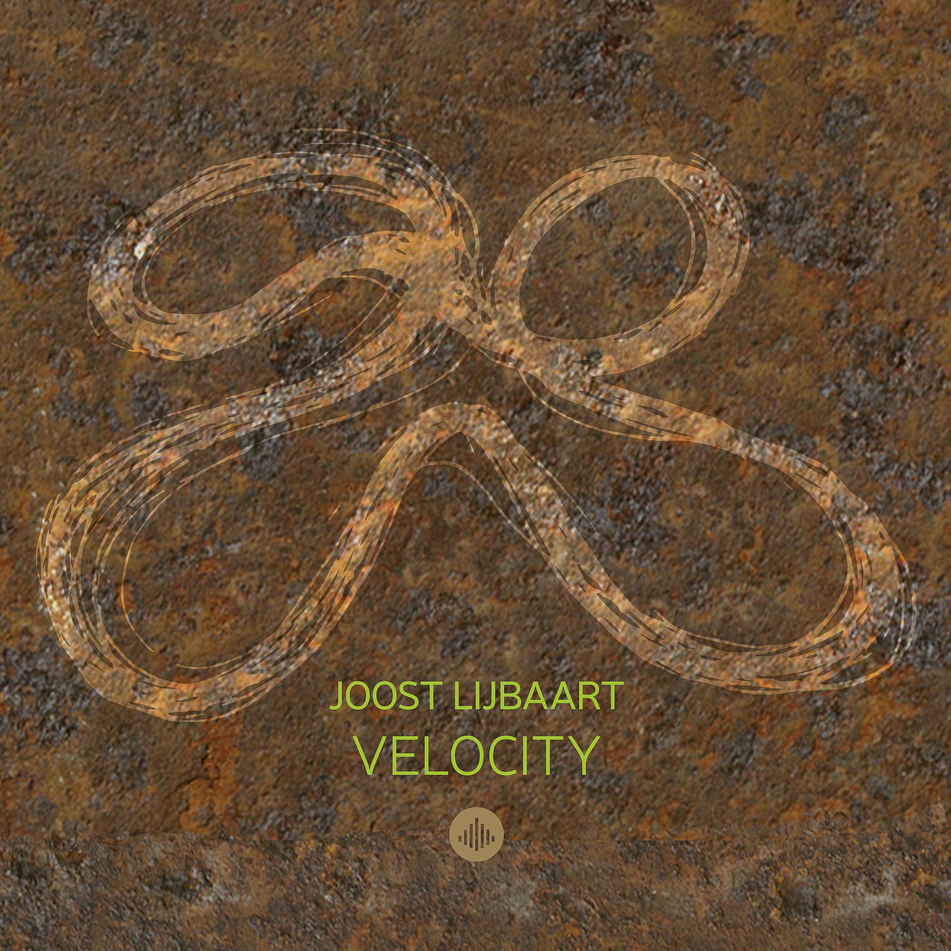 Постер альбома Velocity