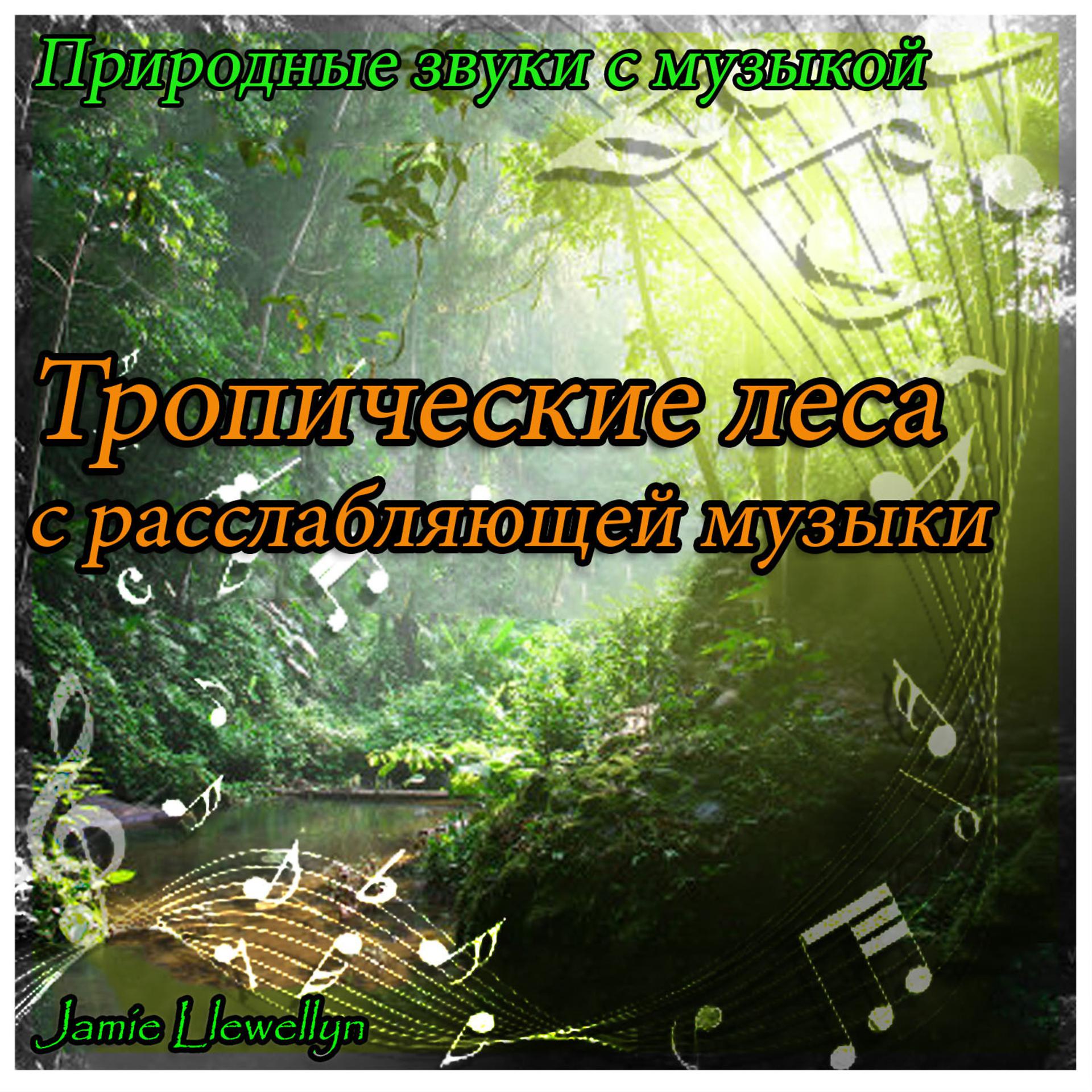 Постер альбома Природные звуки с музыкой: Тропические леса с расслабляющей музыки