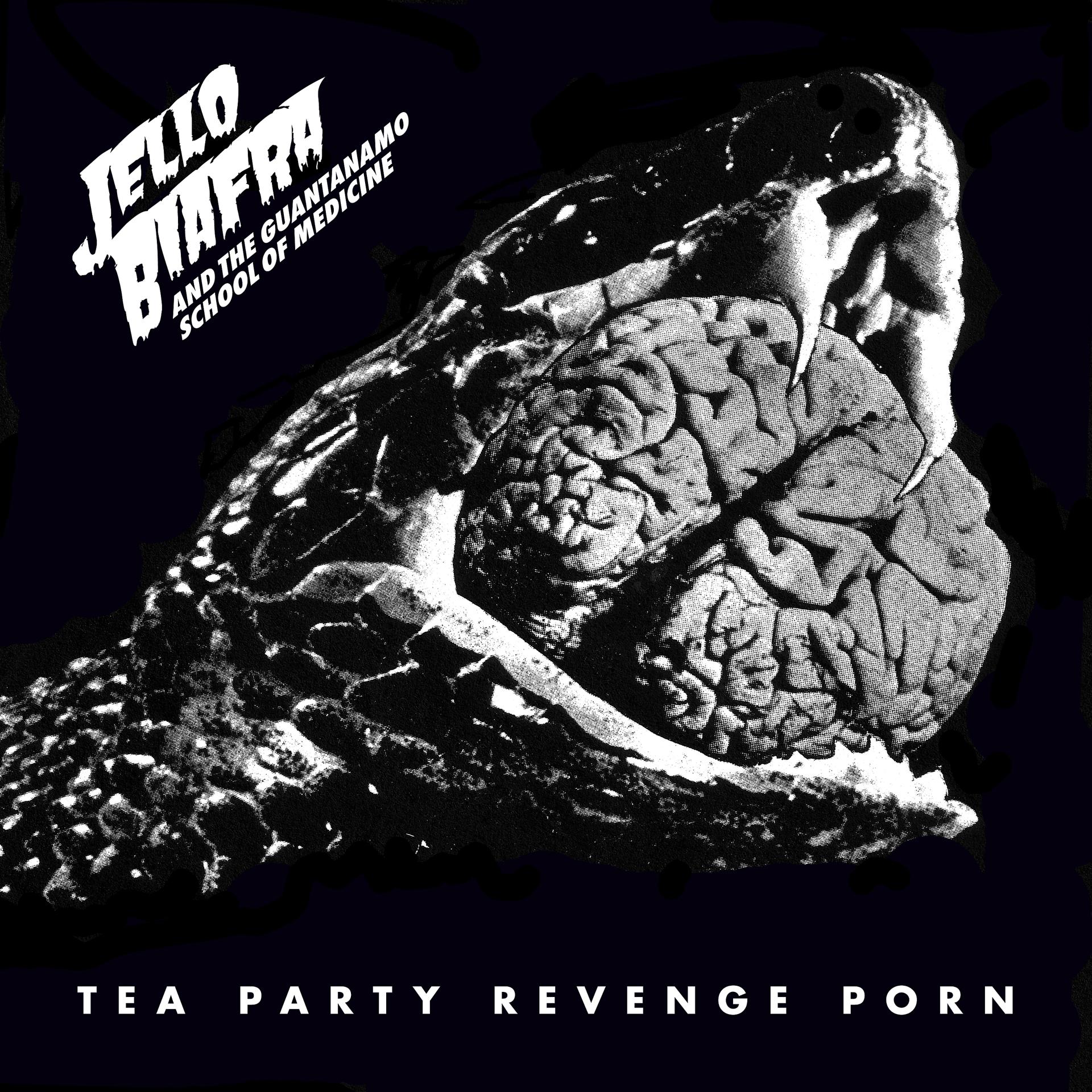 Постер альбома Tea Party Revenge Porn