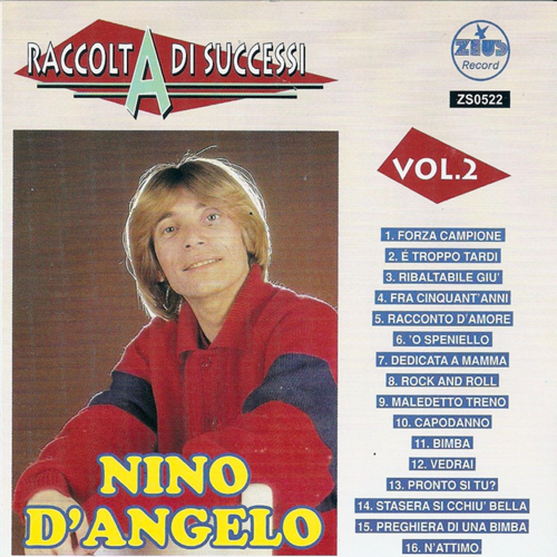 Постер альбома Raccolta di successi, vol. 2 (The Best of Nino D'Angelo Collection)