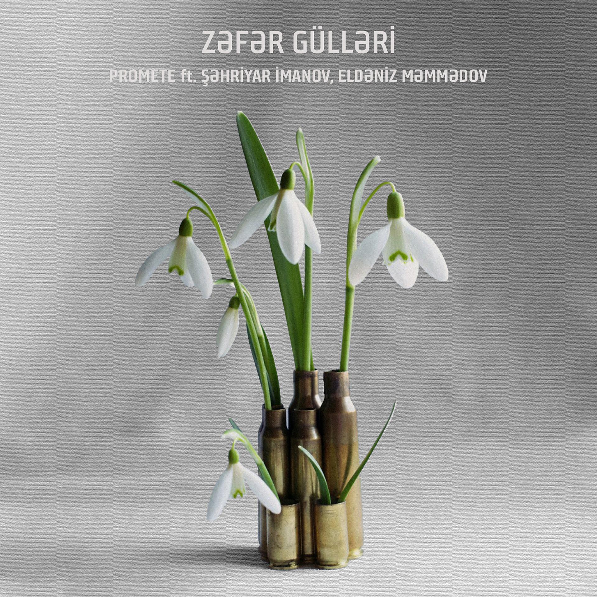 Постер альбома Zəfər Gülləri