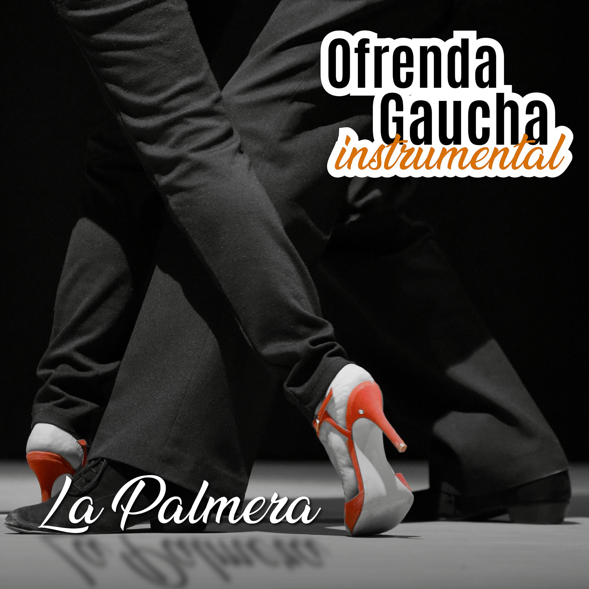 Постер альбома Ofrenda Gaucha: La Palmera (Instrumental)