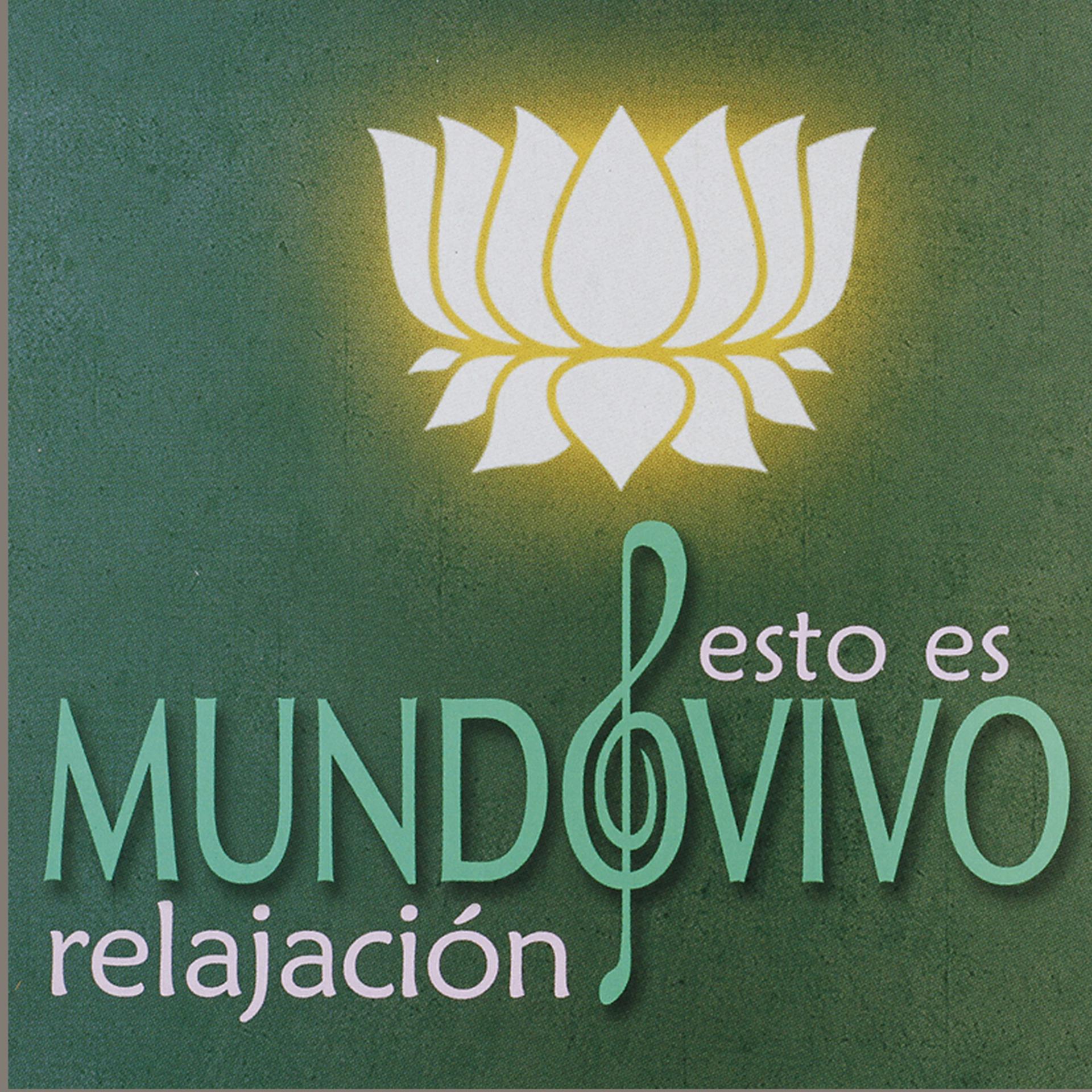 Постер альбома Relajación