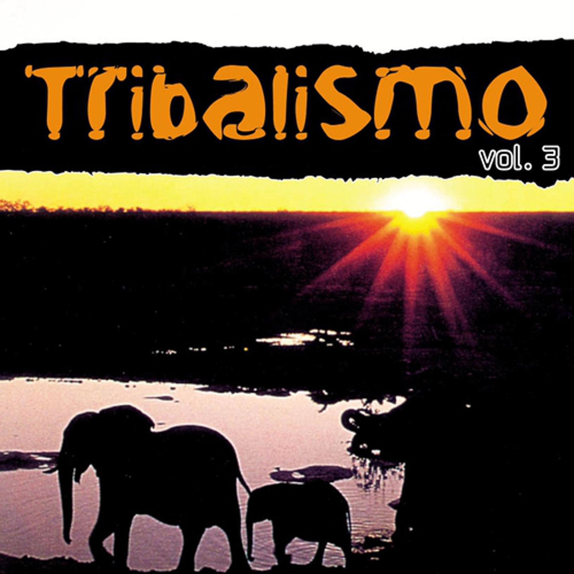 Постер альбома Tribalismo Vol. 3