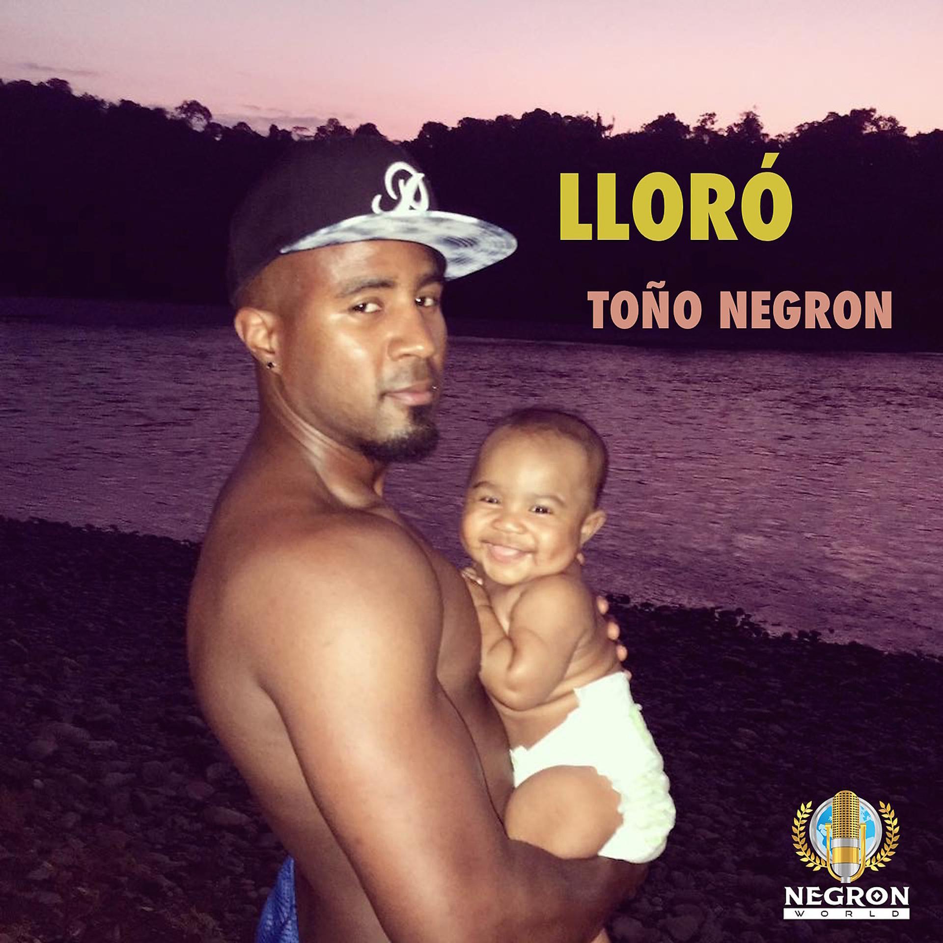 Постер альбома Lloró