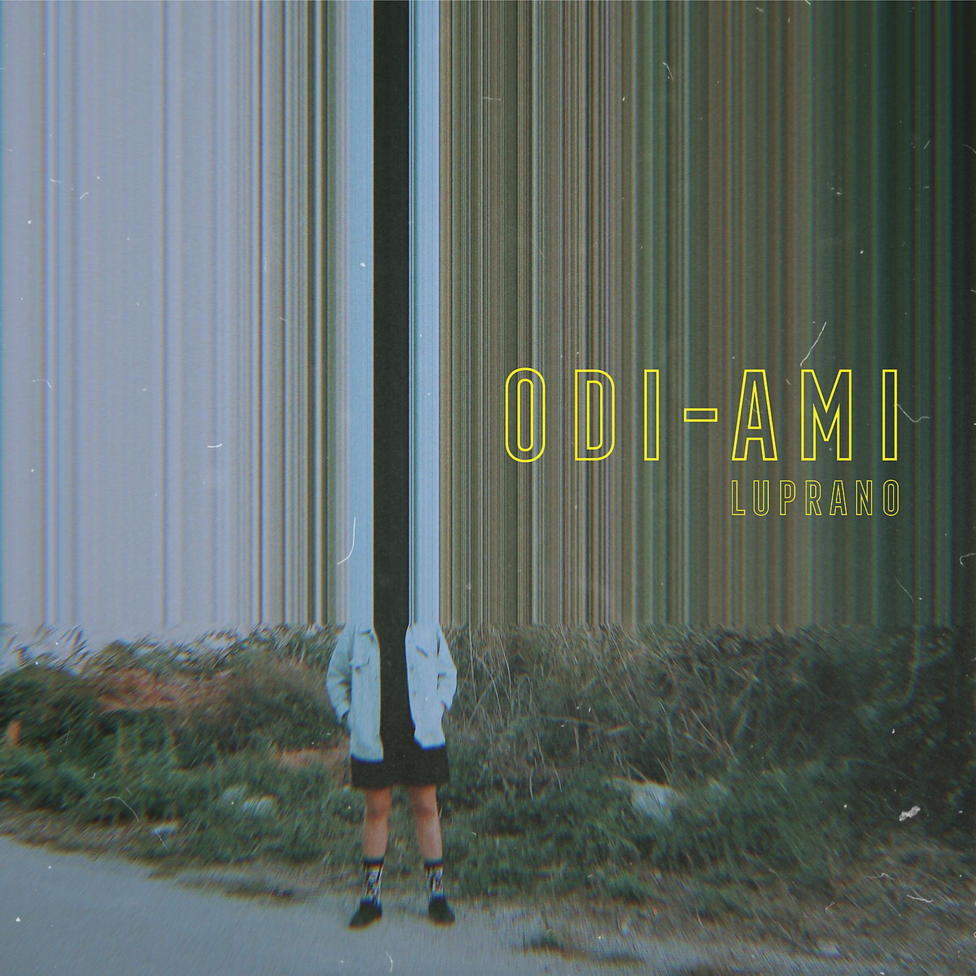 Постер альбома Odi-Ami