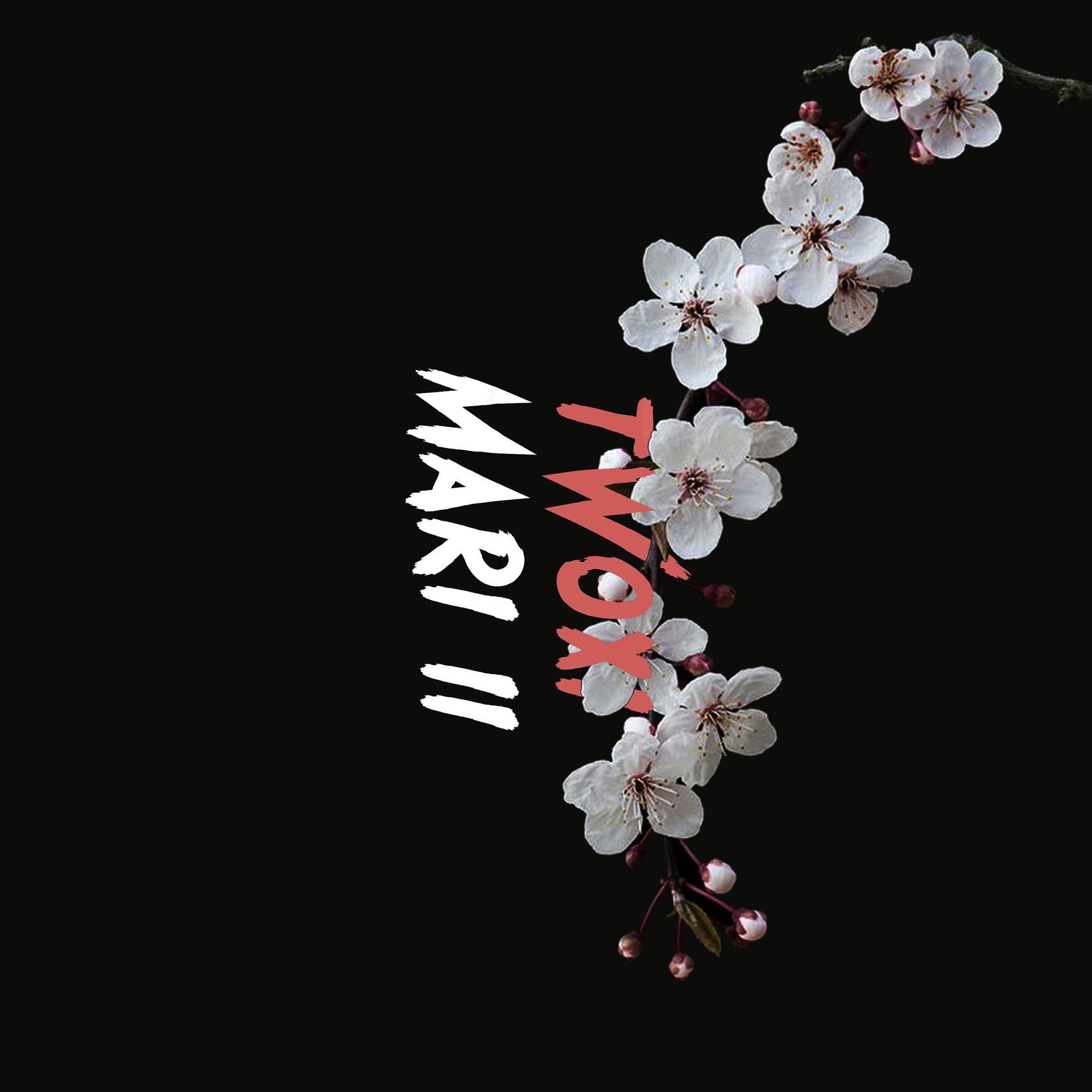 Постер альбома Mari II
