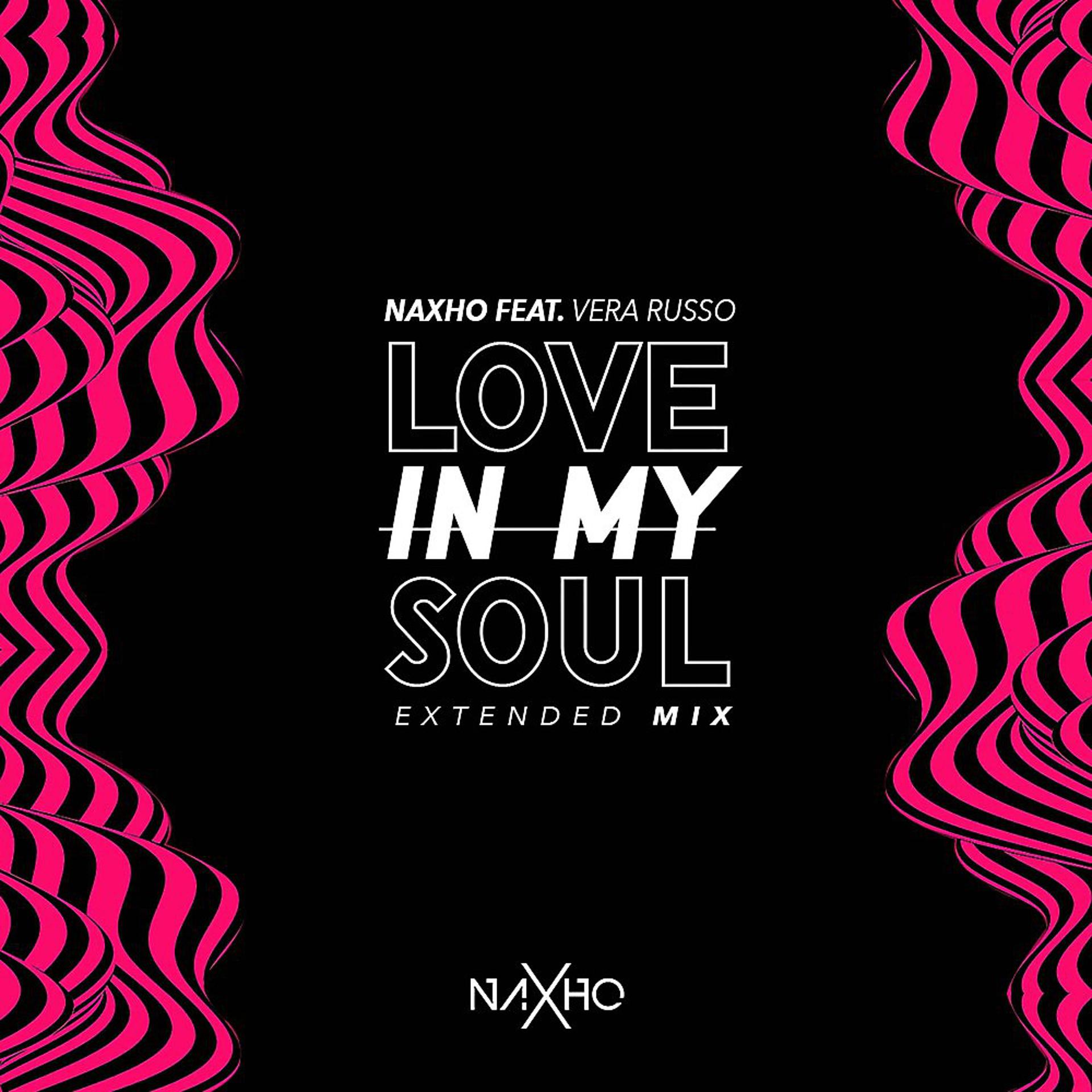 Постер альбома Love in My Soul (Extended Mix)