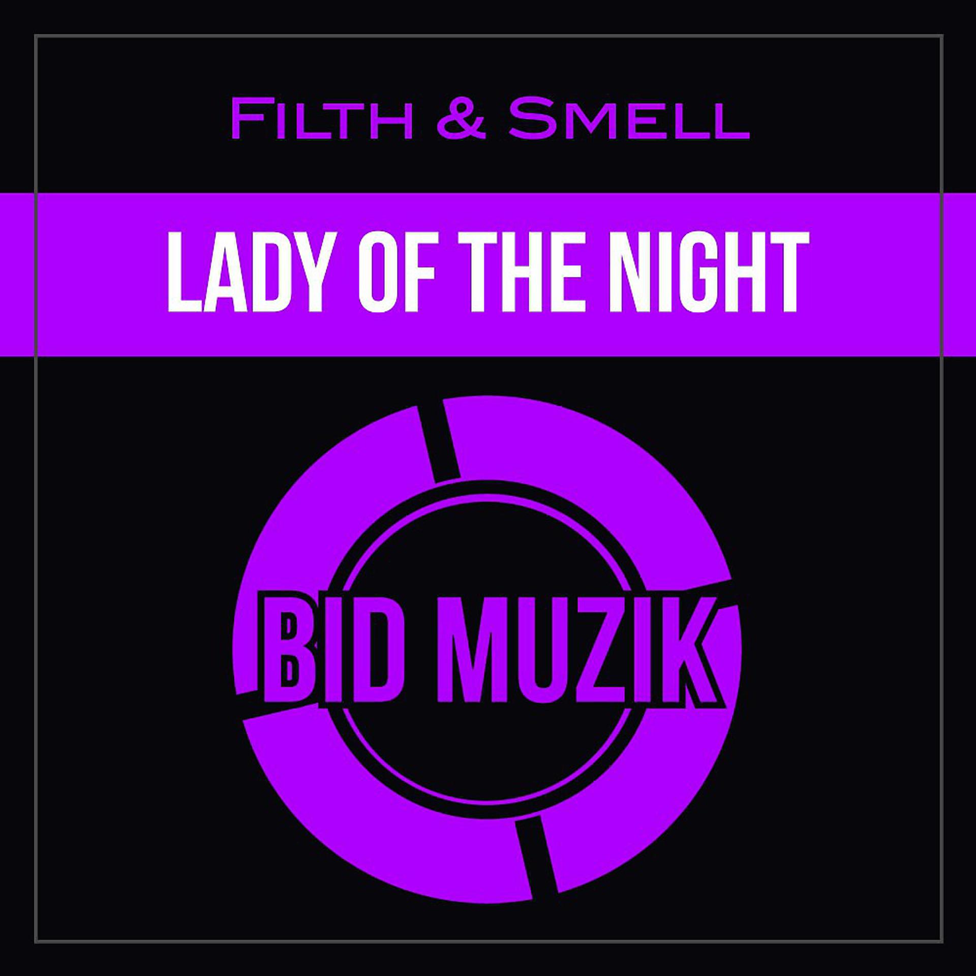 Постер альбома Lady of the Night