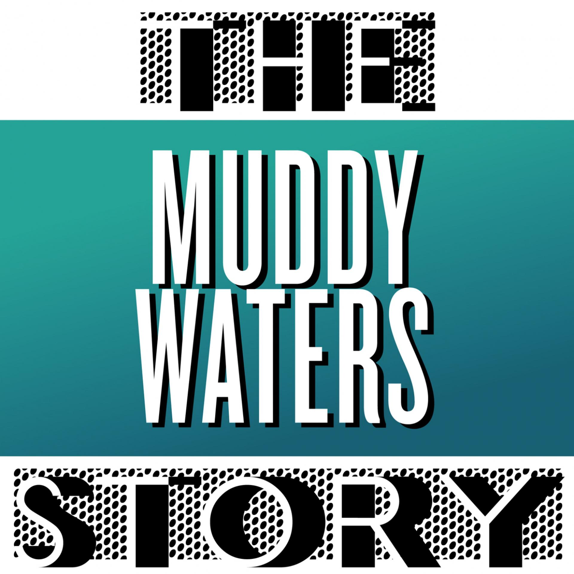 Постер альбома The Muddy Waters Story, Vol. 1