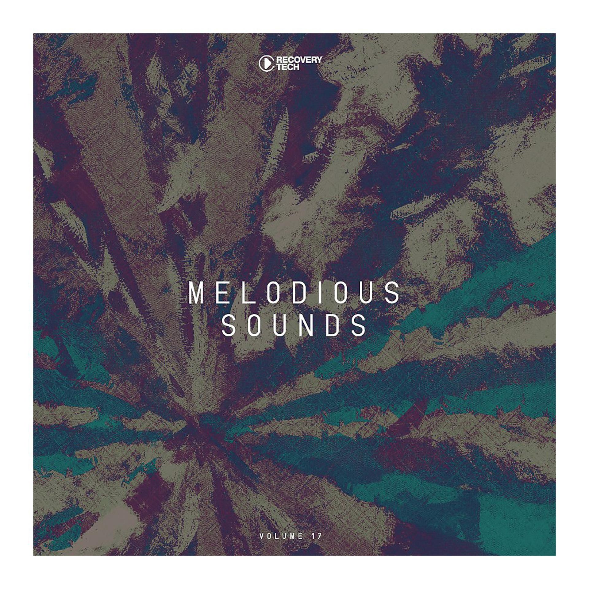 Постер альбома Melodious Sounds, Vol. 17