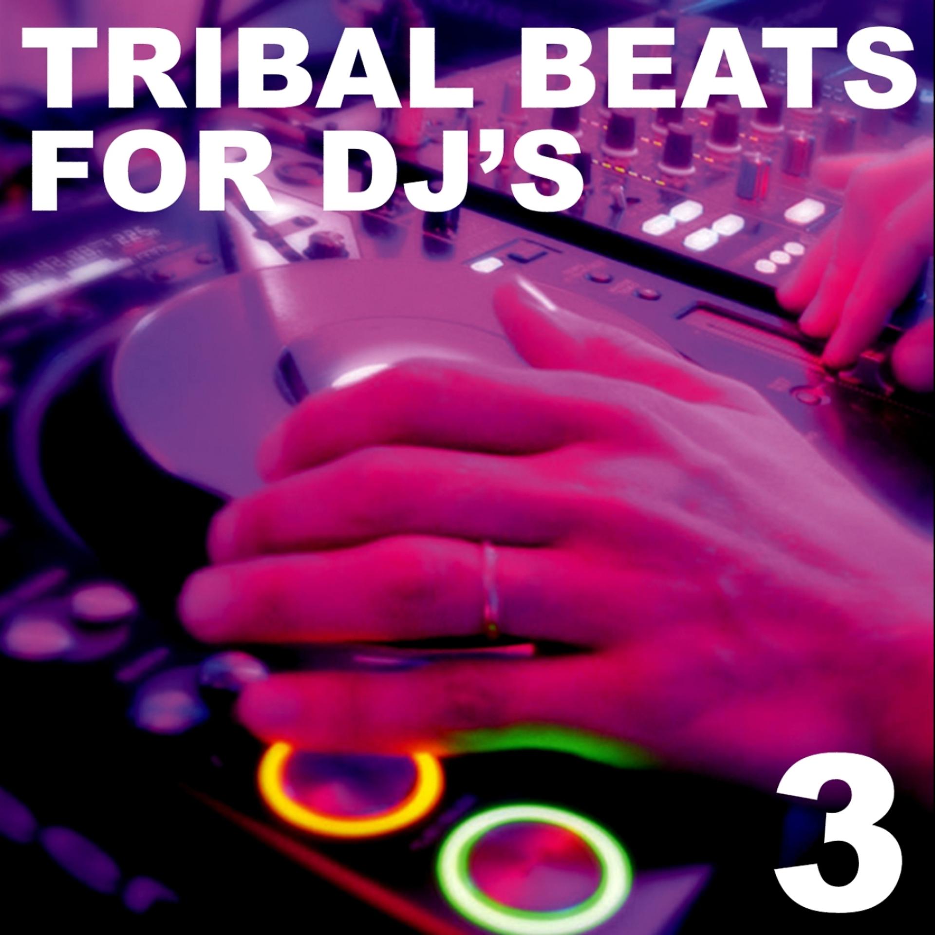 Постер альбома Tribal Beats for DJ's - Vol. 3