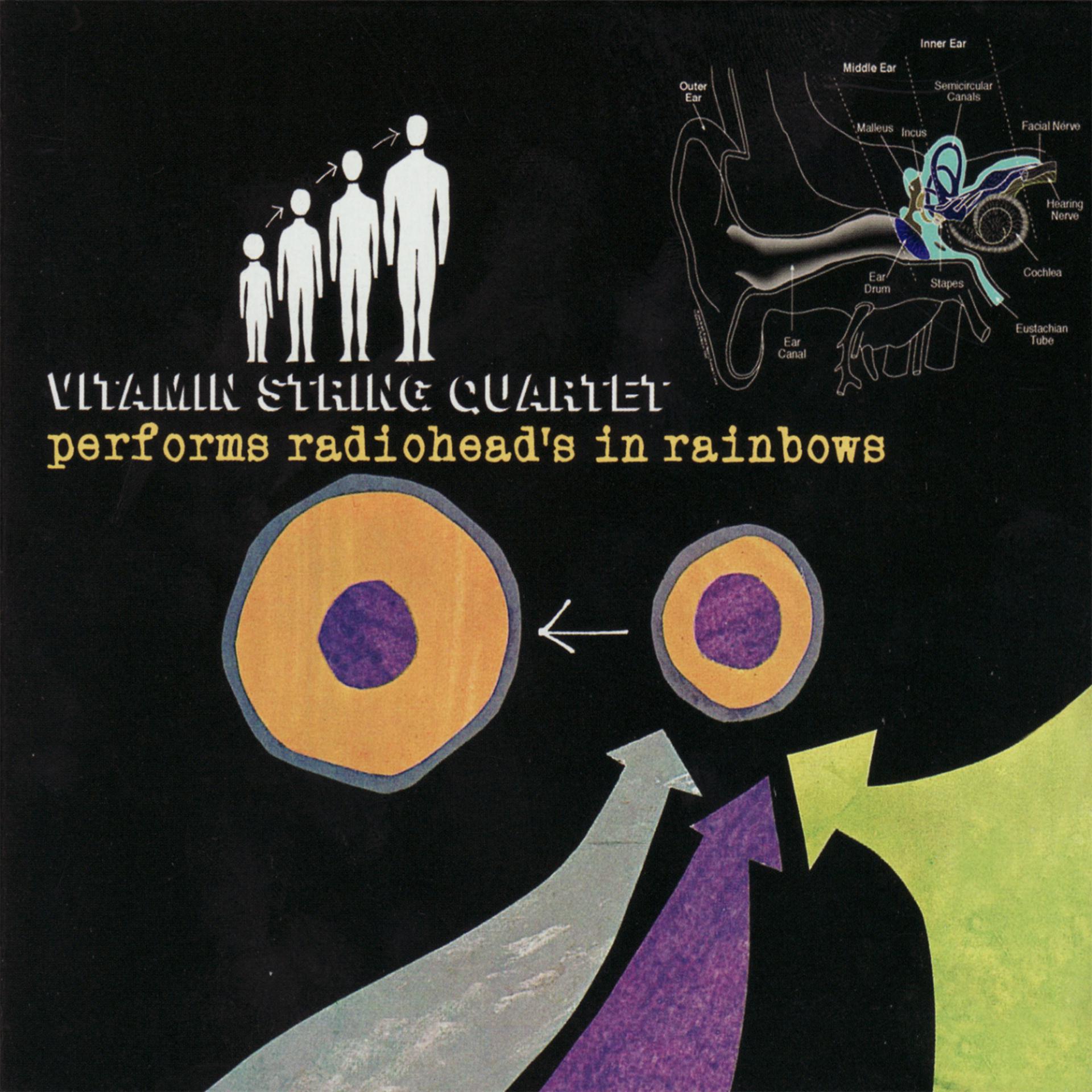 Постер альбома Vitamin String Quartet Performs Radiohead's In Rainbows