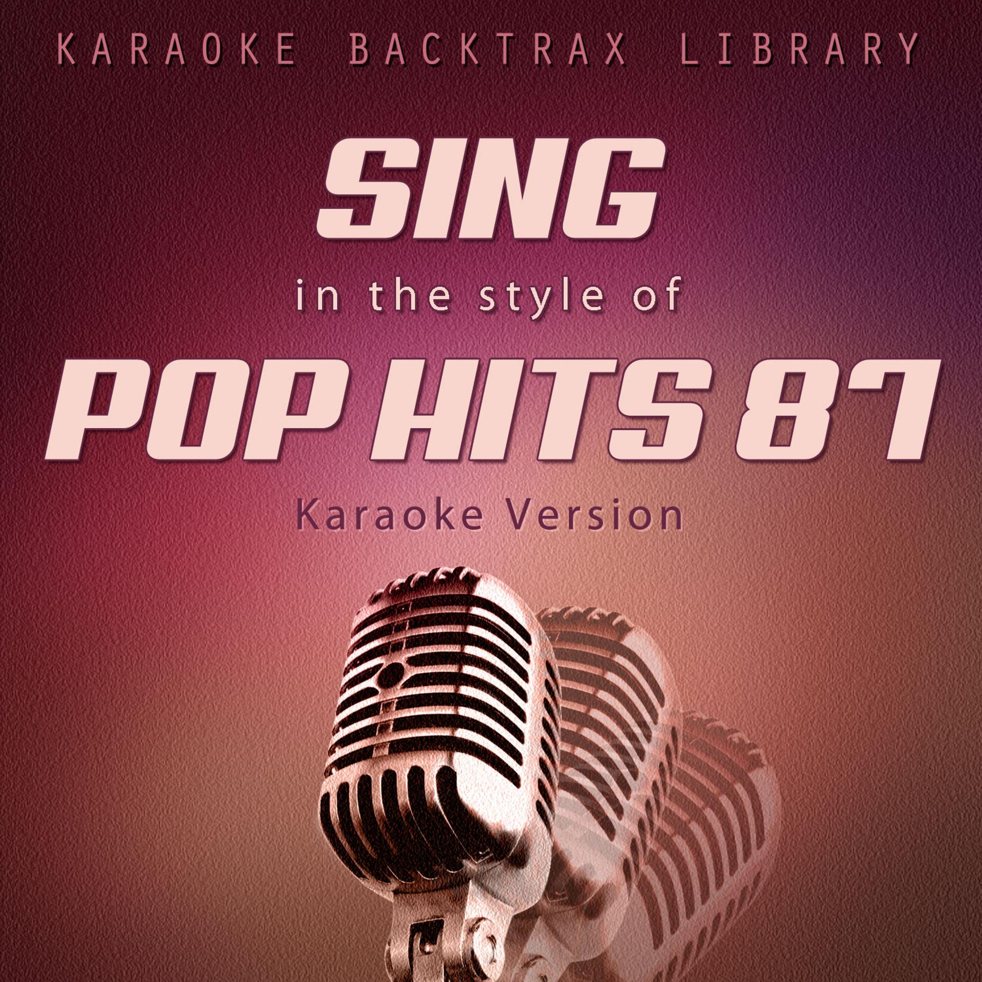Постер альбома Sing in the Style of Pop Hits 87 (Karaoke Version)