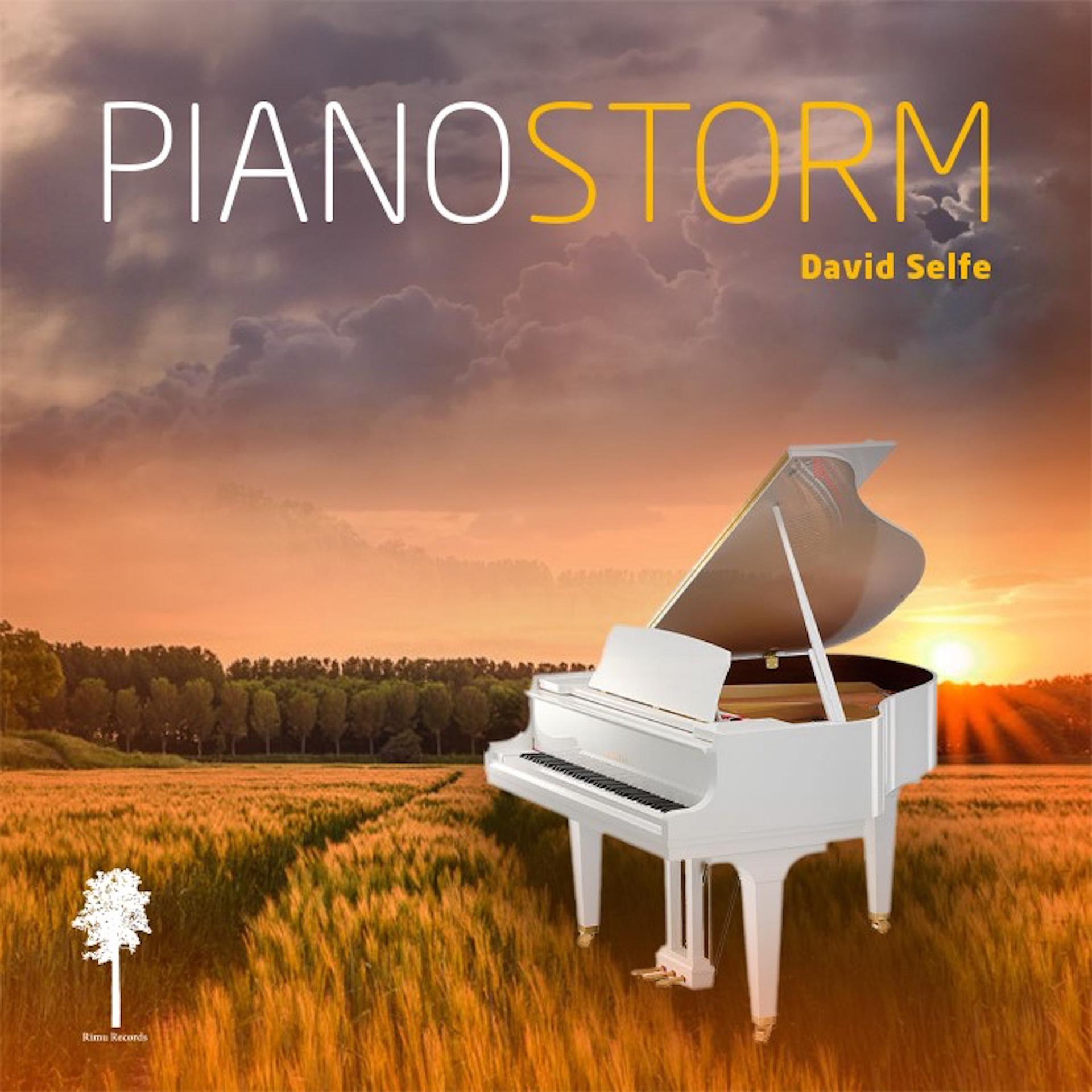 Постер альбома Piano Storm