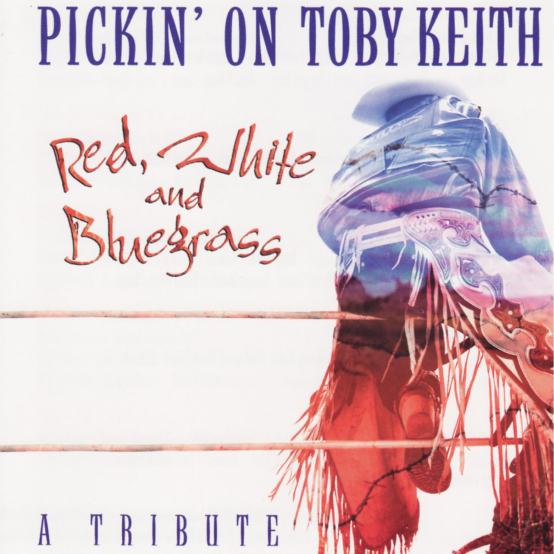 Постер альбома Pickin' On Toby Keith - Red, White and Bluegrass: A Tribute