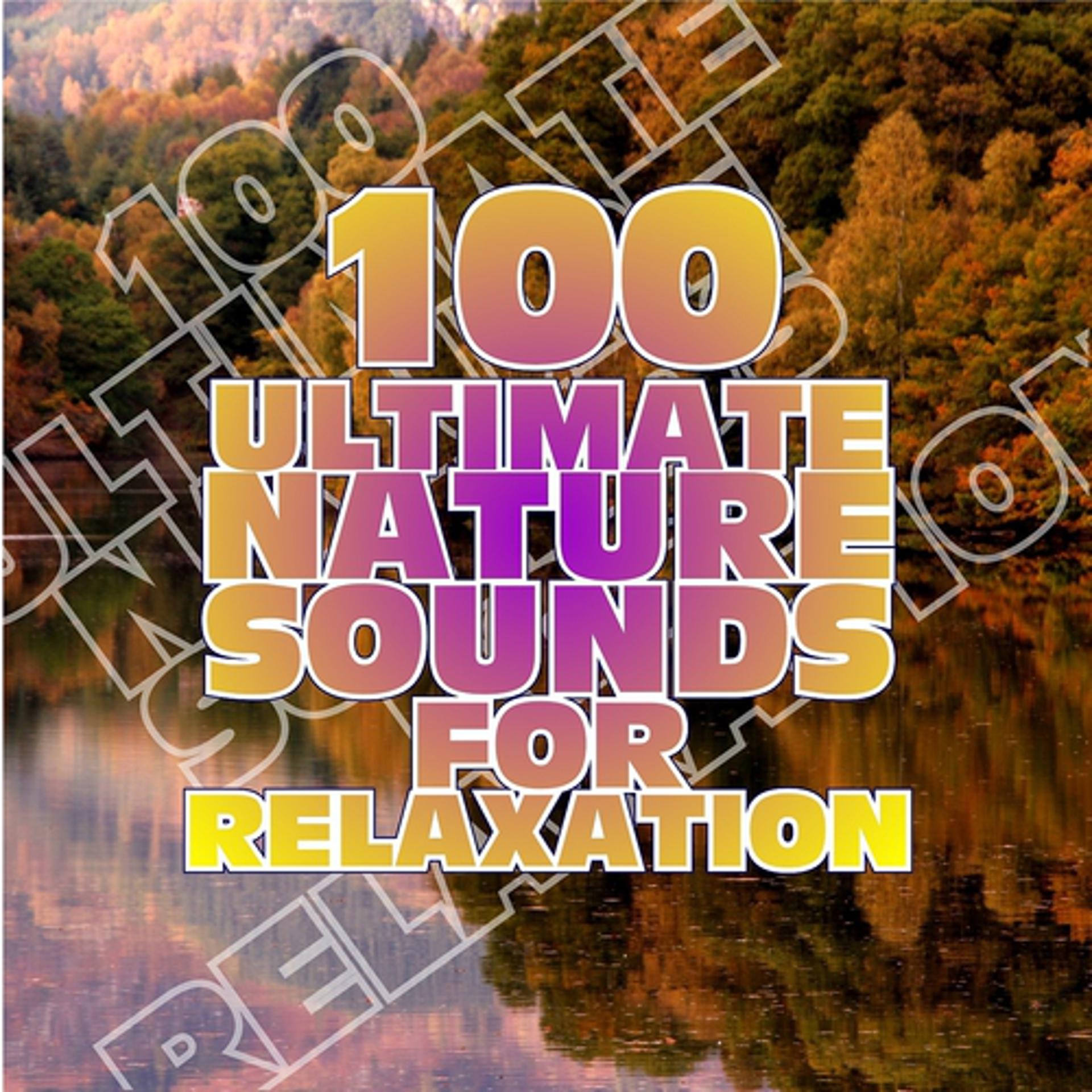 Постер альбома 100 Ultimate Nature Sounds for Relaxation