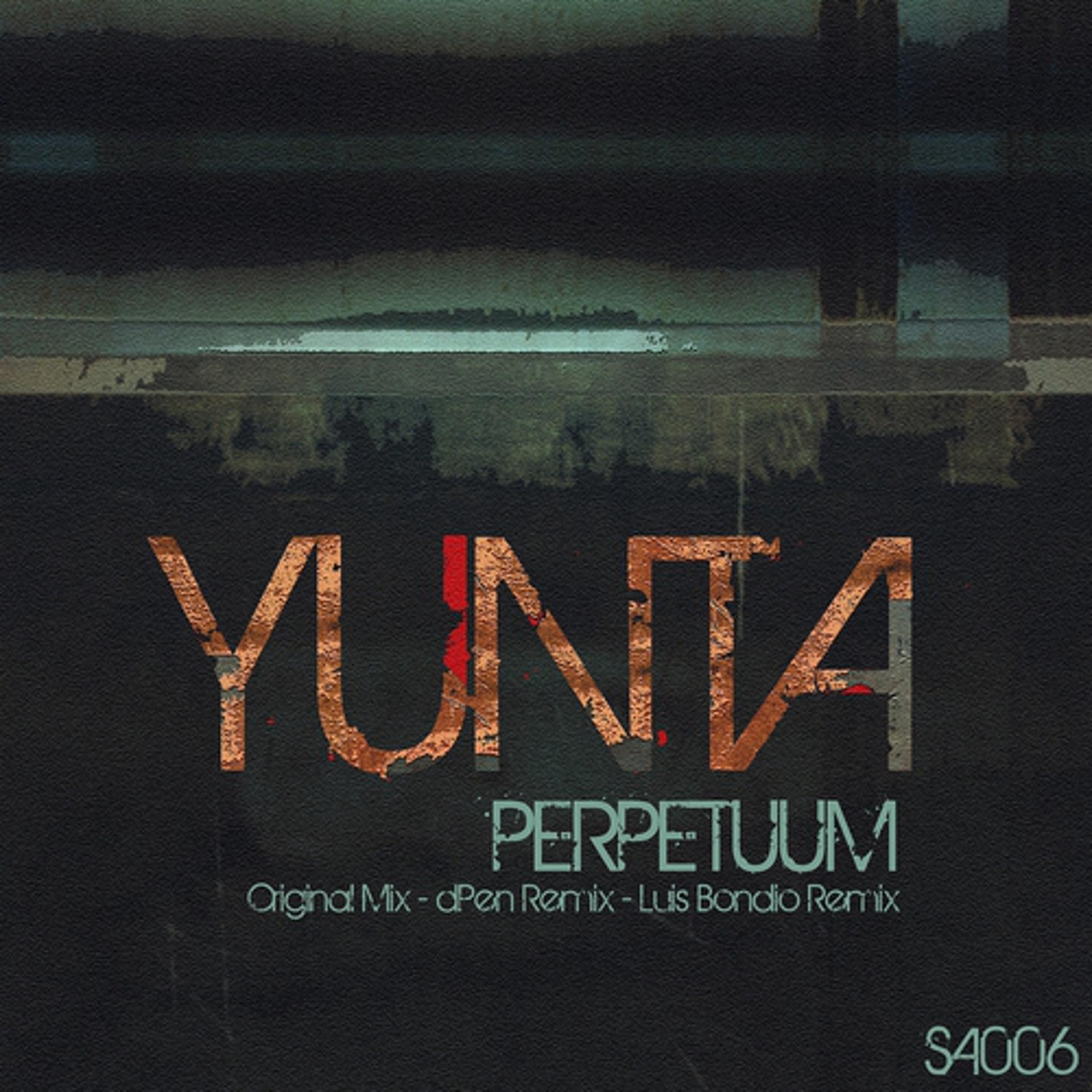 Постер альбома Perpetuum