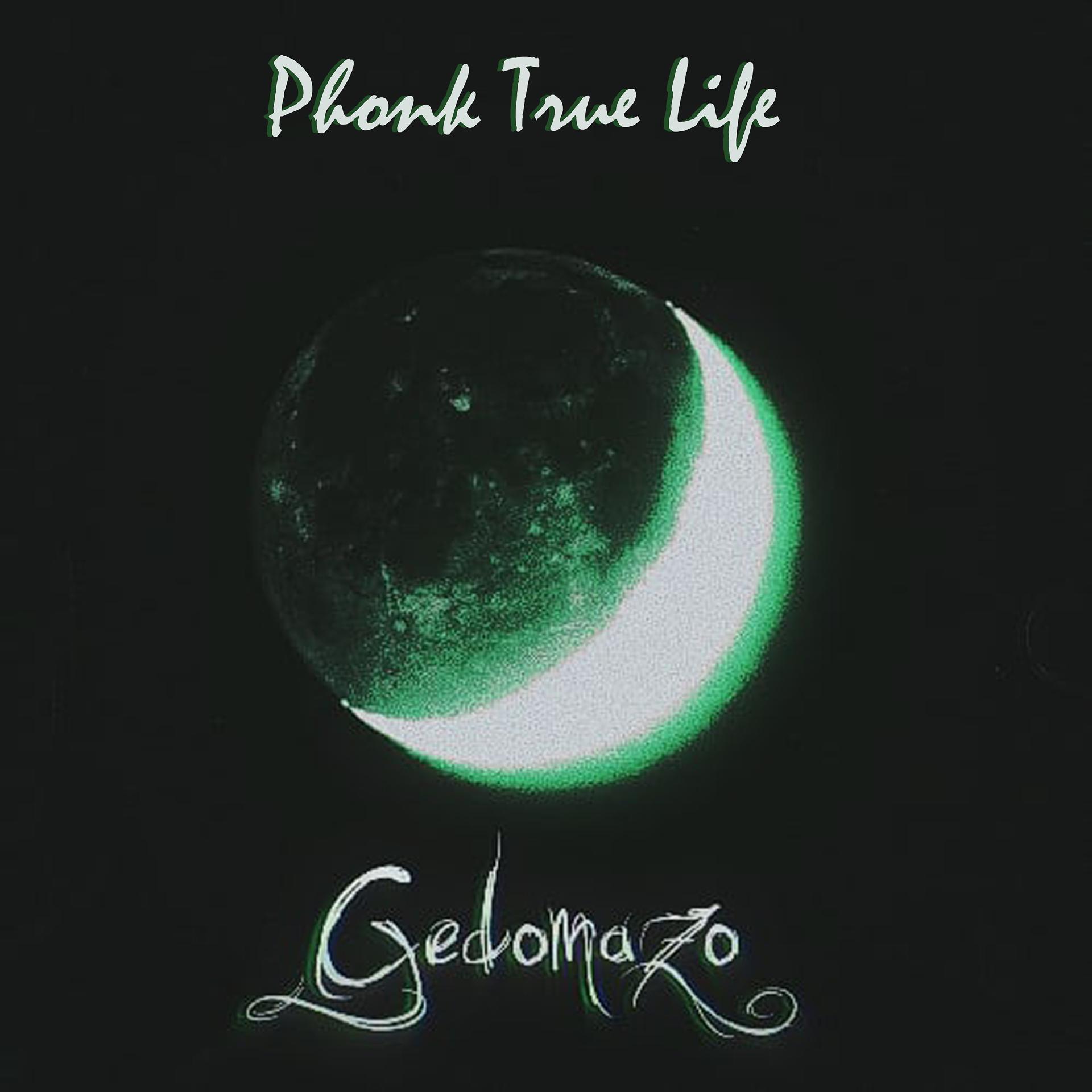 Постер альбома Phonk True Life