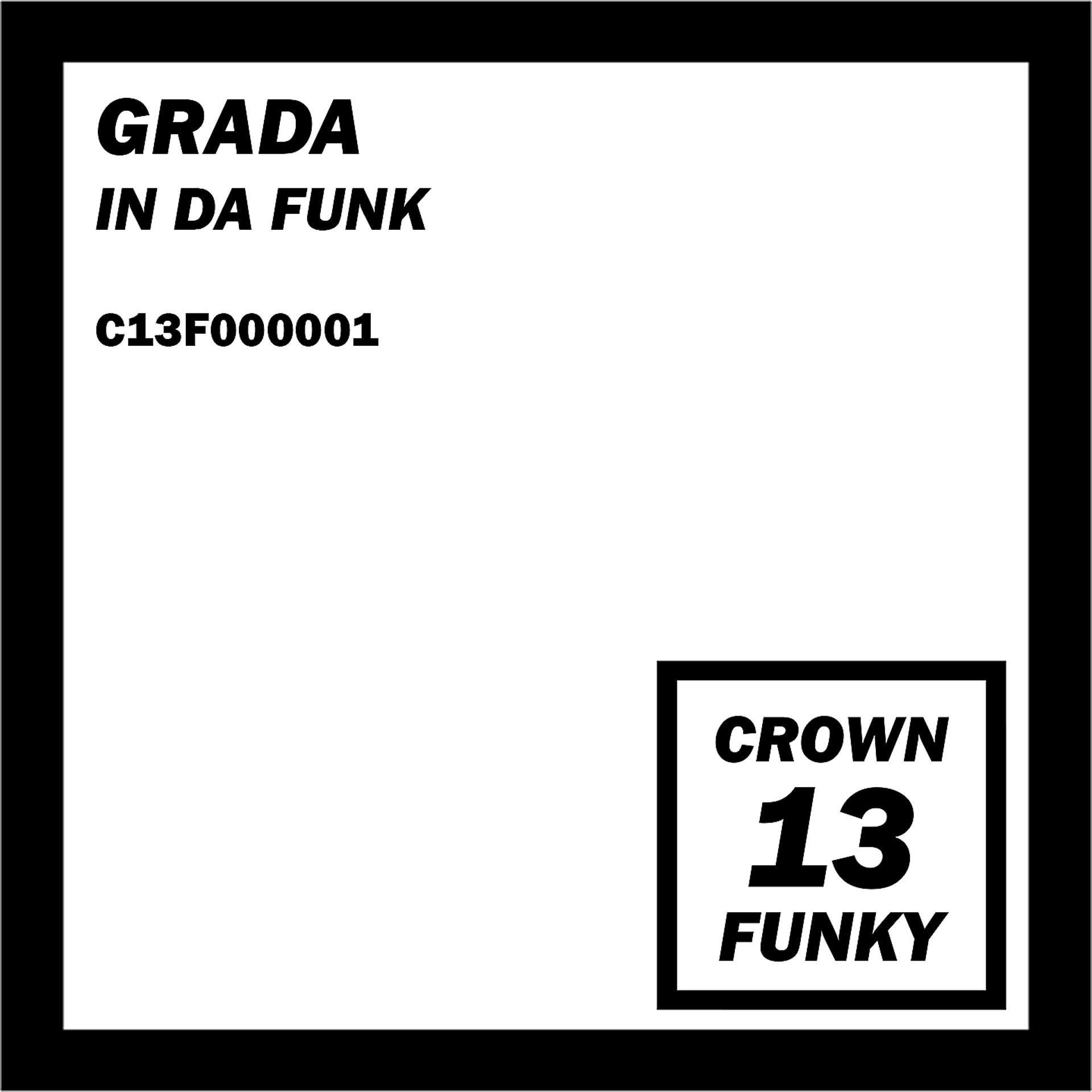 Постер альбома In Da Funk