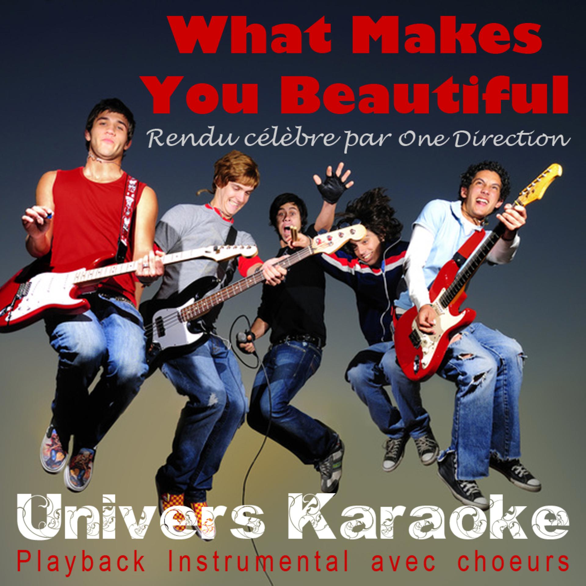 Постер альбома What Makes You Beautiful (Rendu célèbre par One Direction) [Version Karaoké] - Single