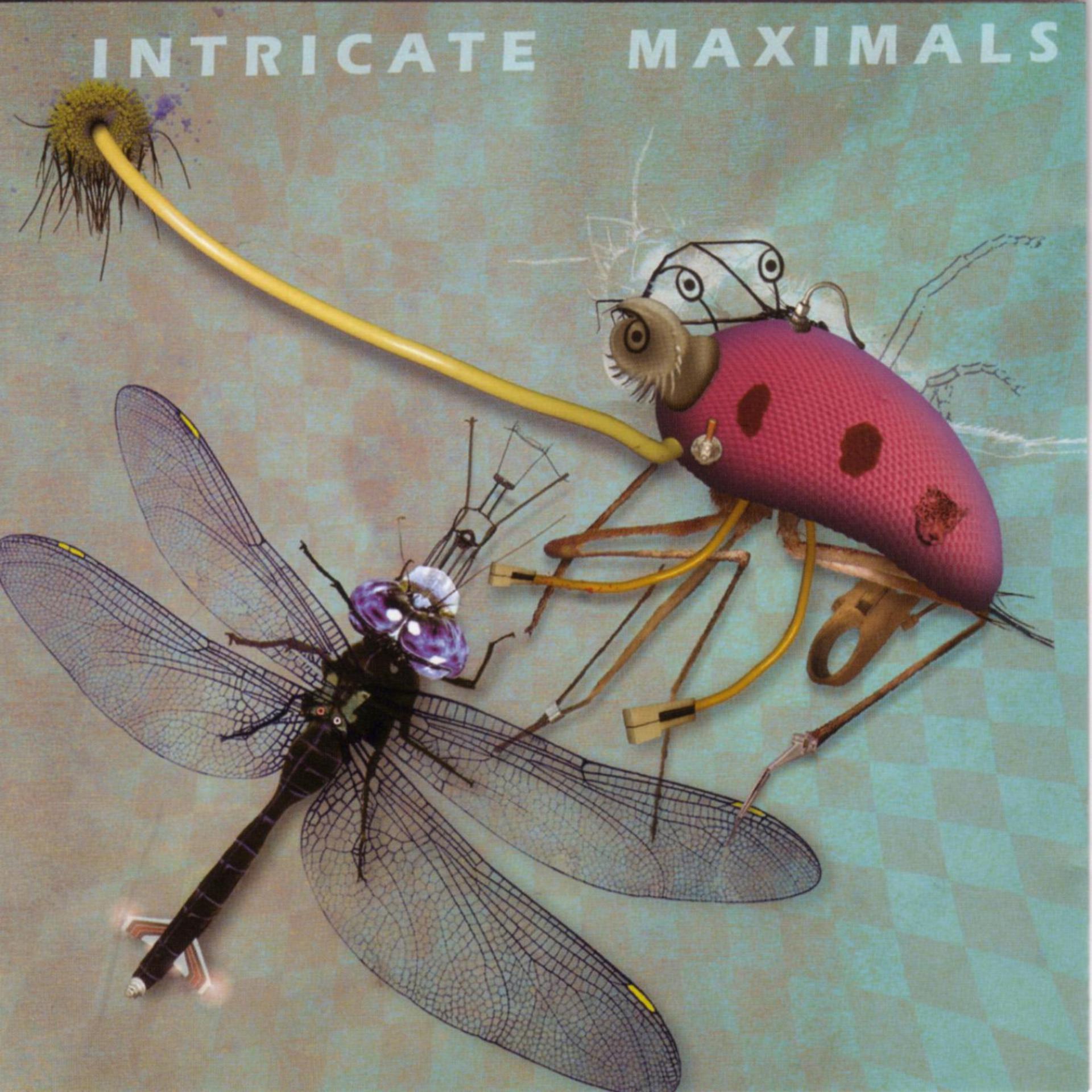 Постер альбома Intricate Maximals