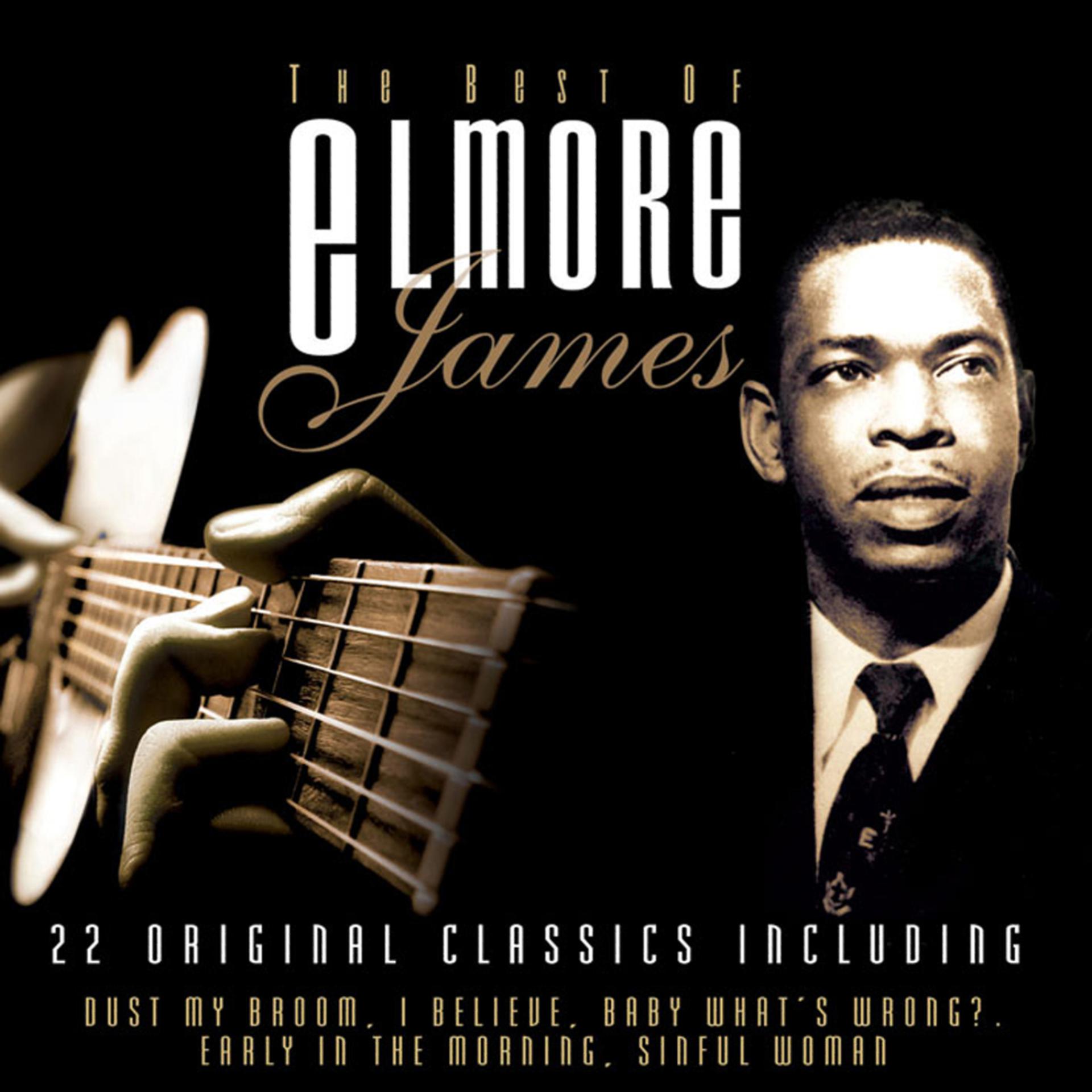 Постер альбома The Best of Elmore James