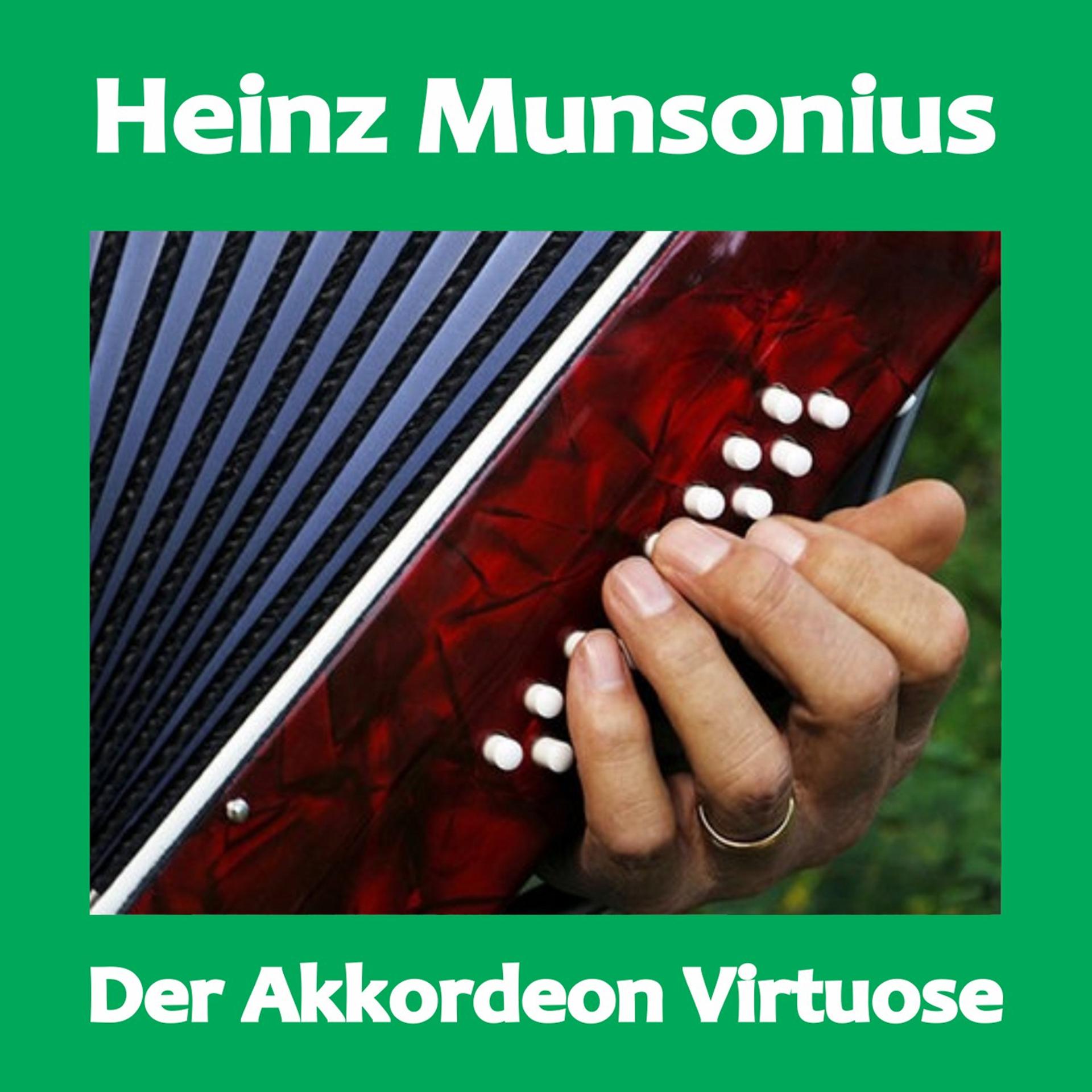 Постер альбома Der Akkordeon Virtuose