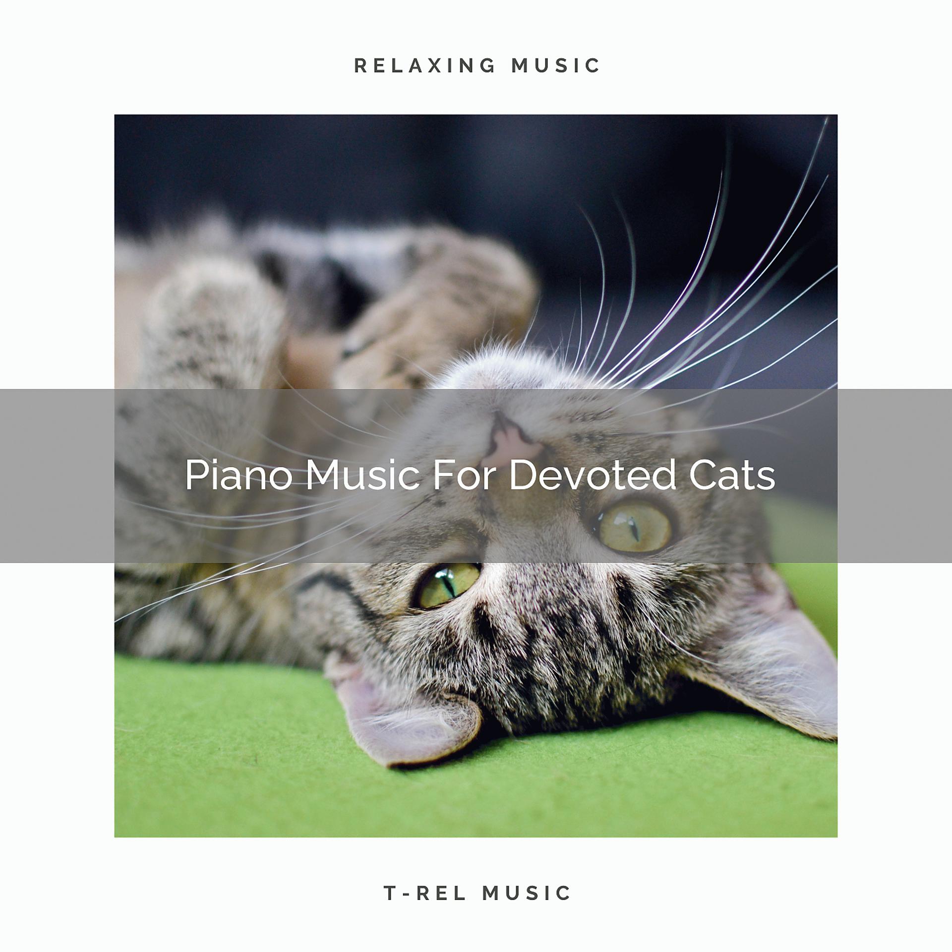 Постер альбома Piano Music For Devoted Cats