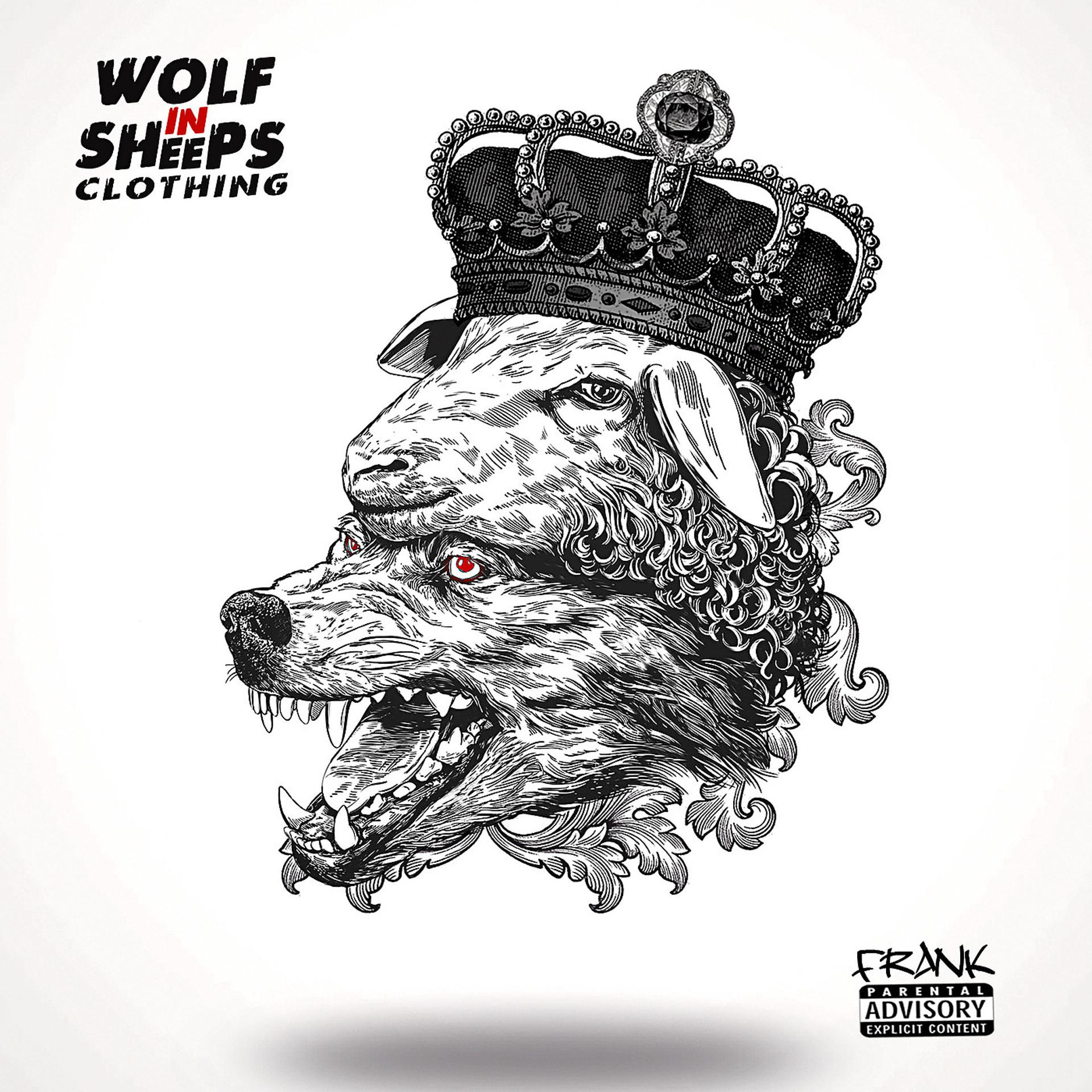 Постер альбома Wolf in Sheeps Clothing