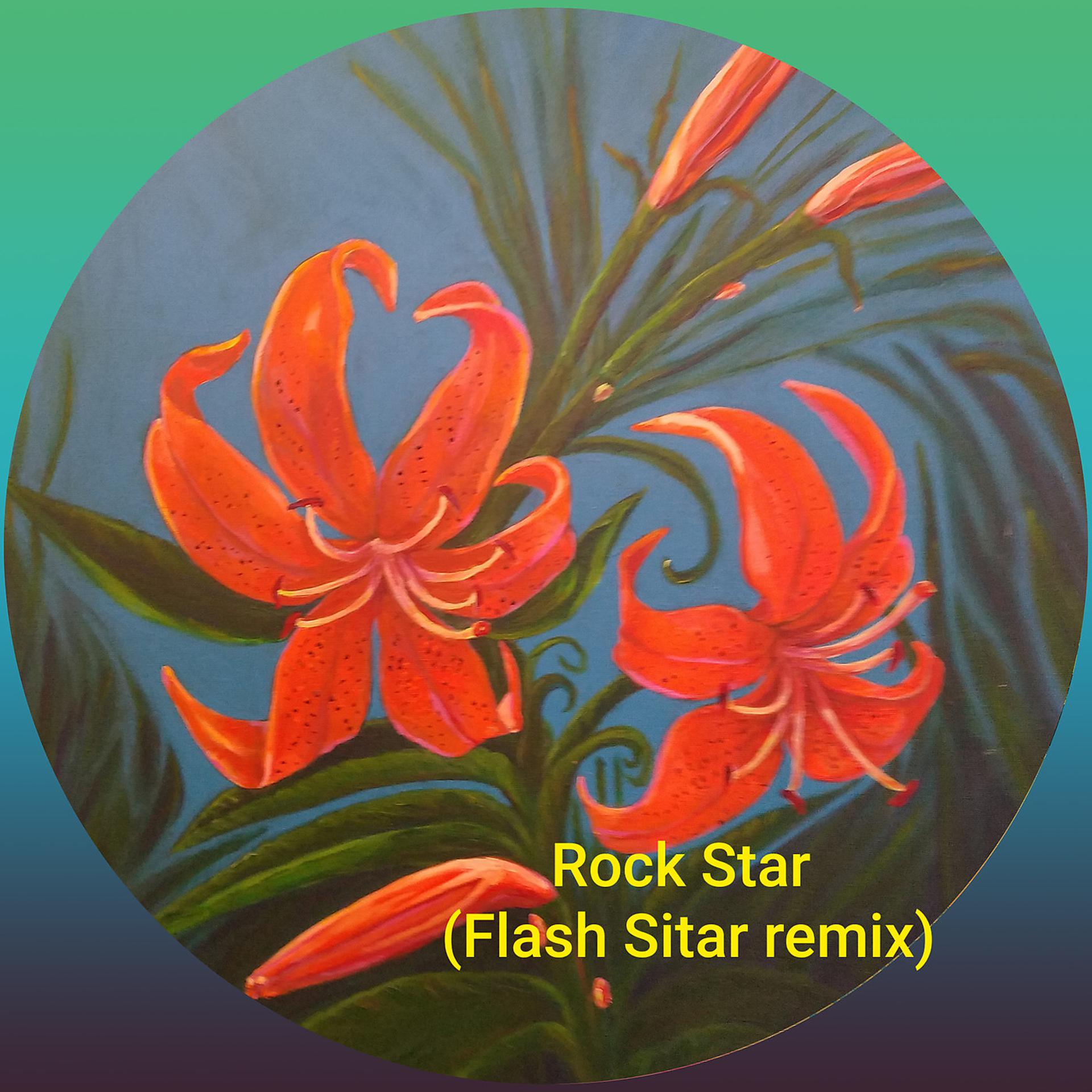 Постер альбома Rock Star (Remix)