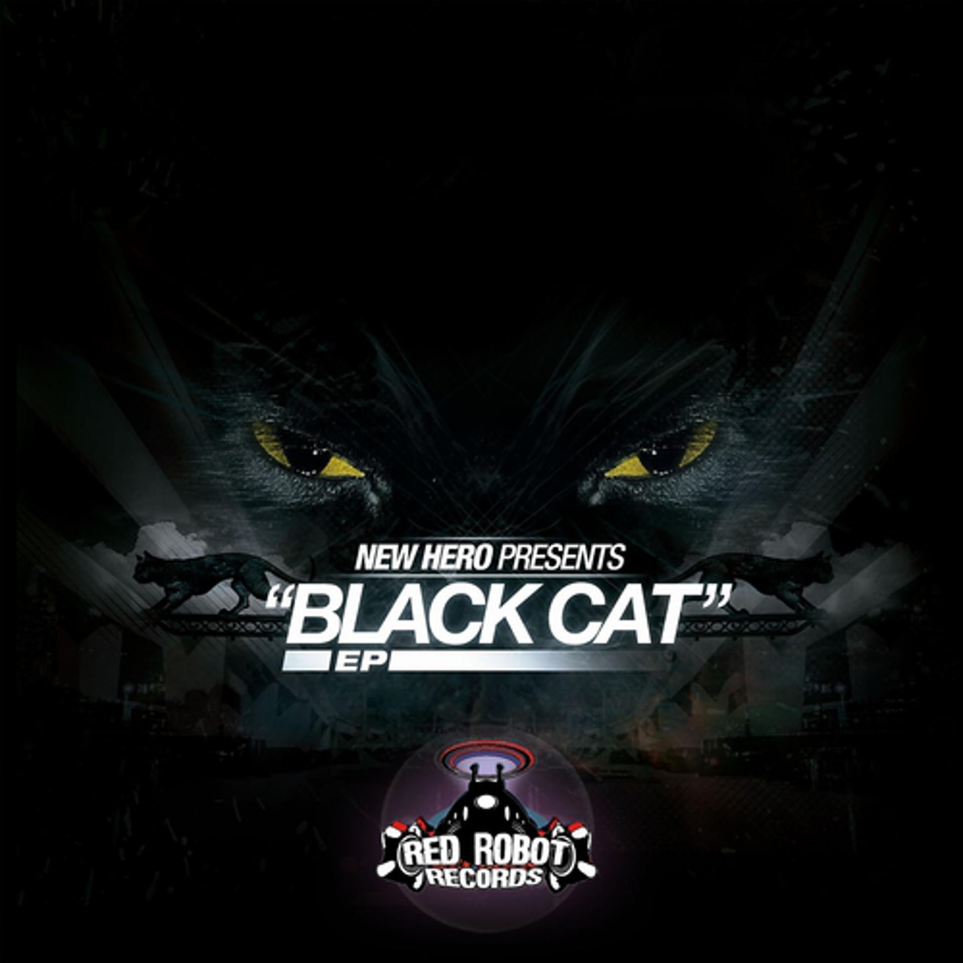 Постер альбома Black Cat Ep