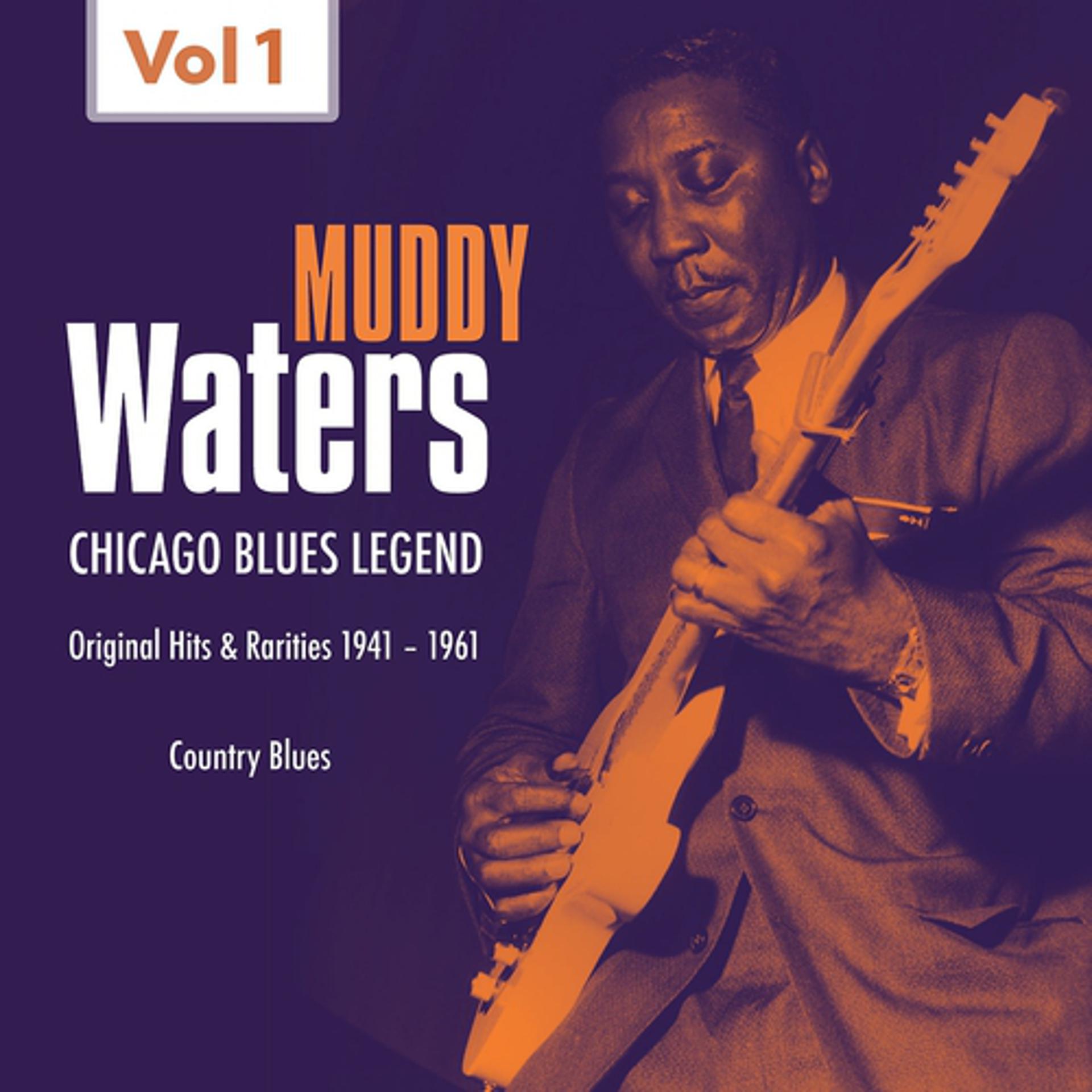 Постер альбома Muddy Waters - Original Hits & Rarities (1941 - 1961, Vol. 1)