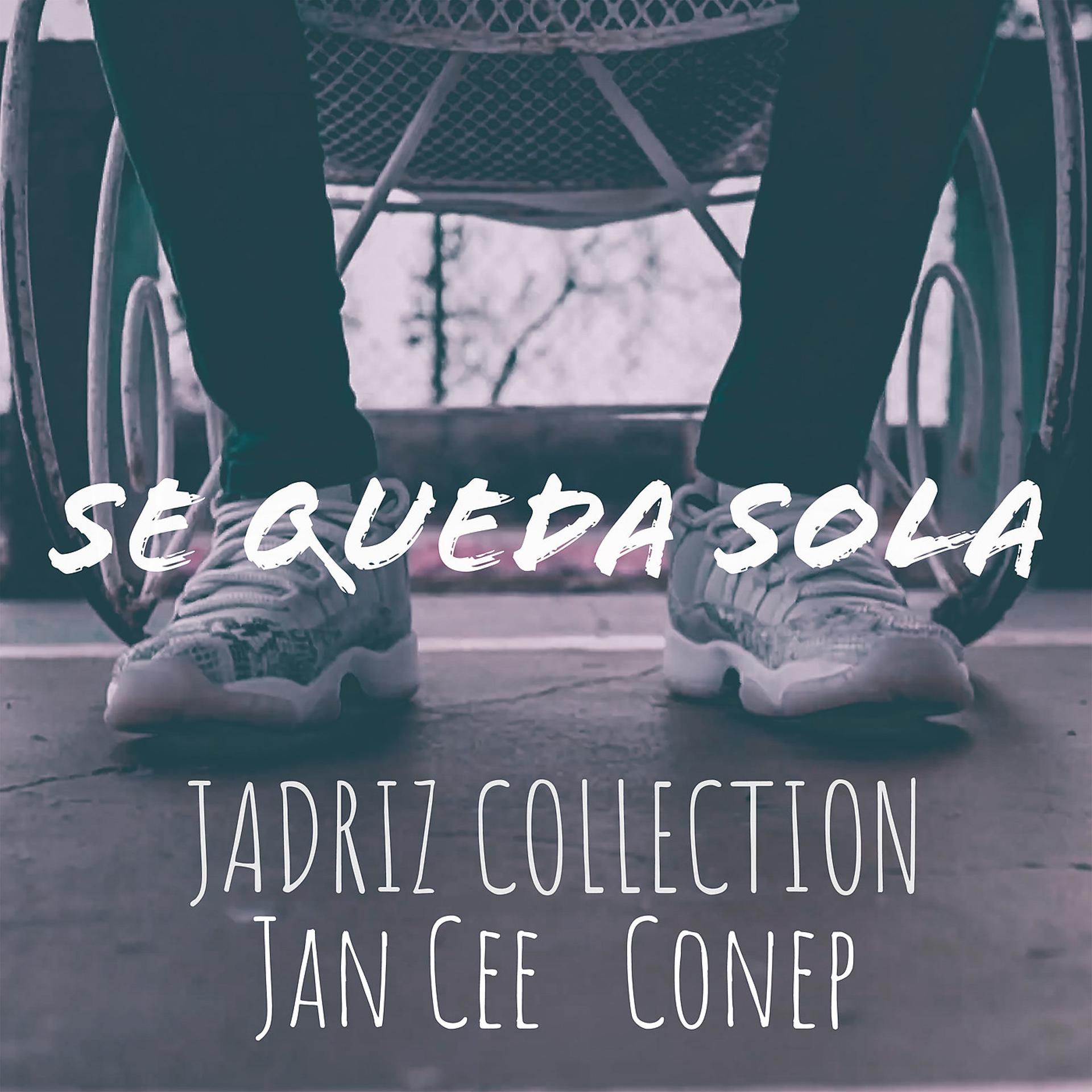 Постер альбома Se Queda Sola