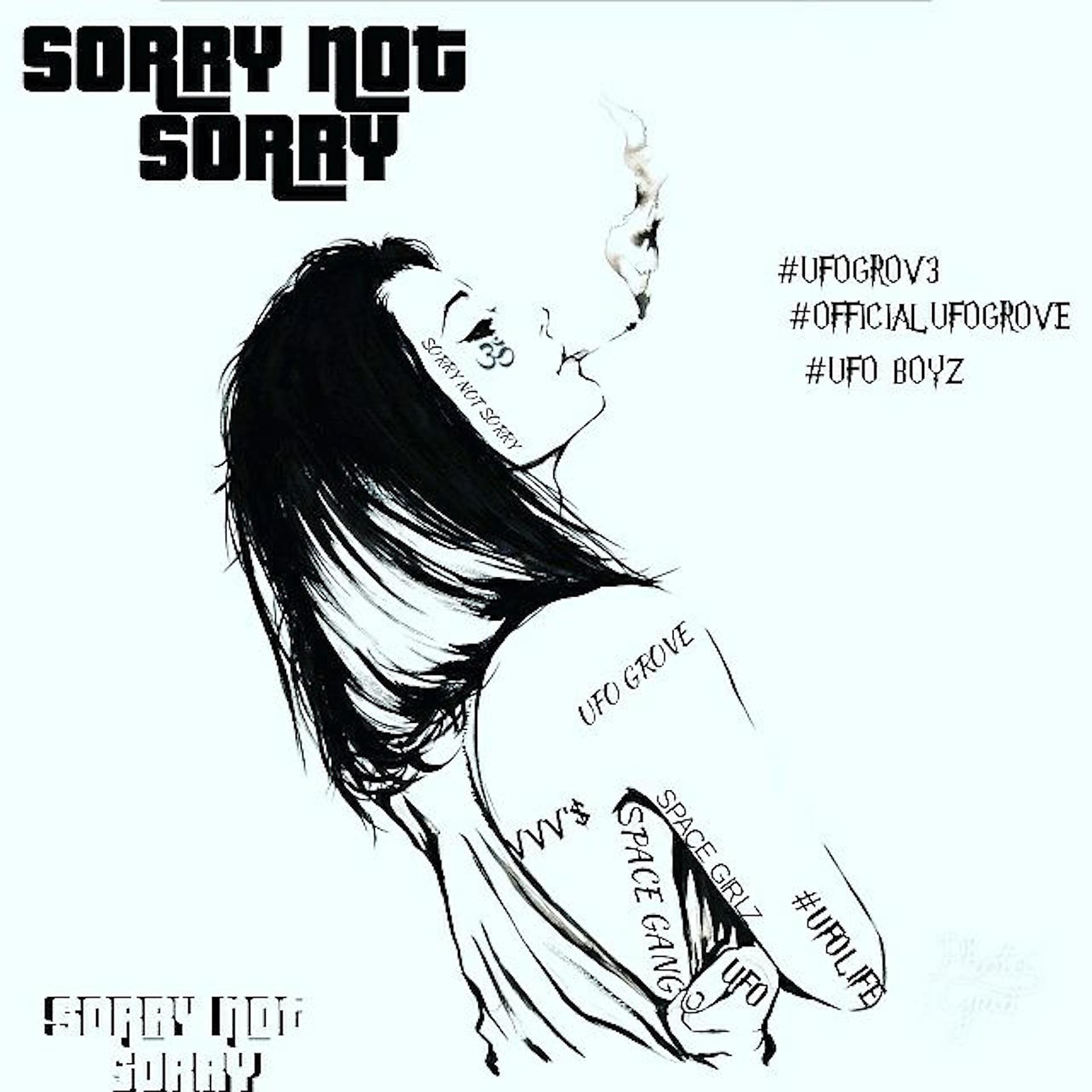 Постер альбома SoRrY NoT SoRoY