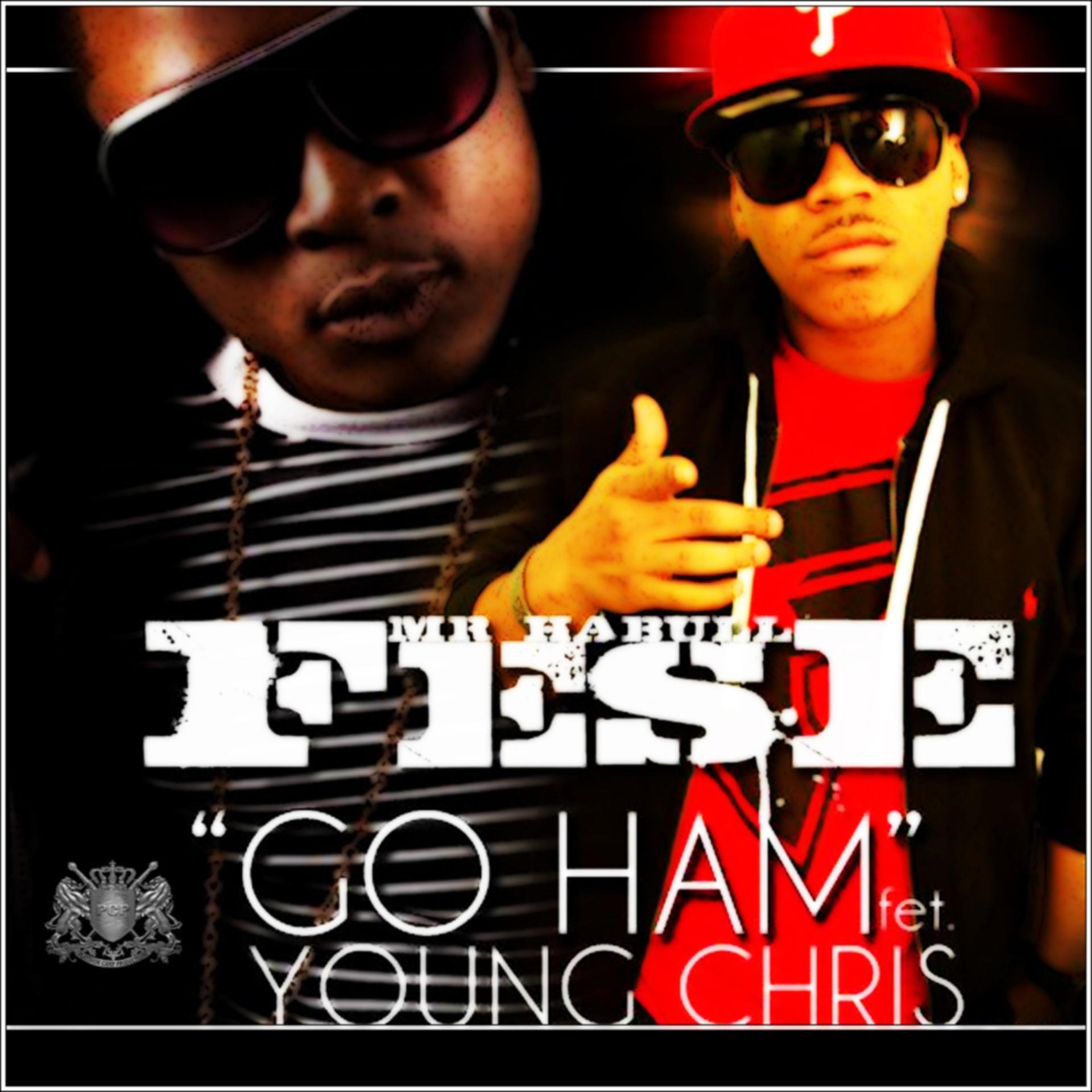 Постер альбома Go Ham (feat. Young Chris)