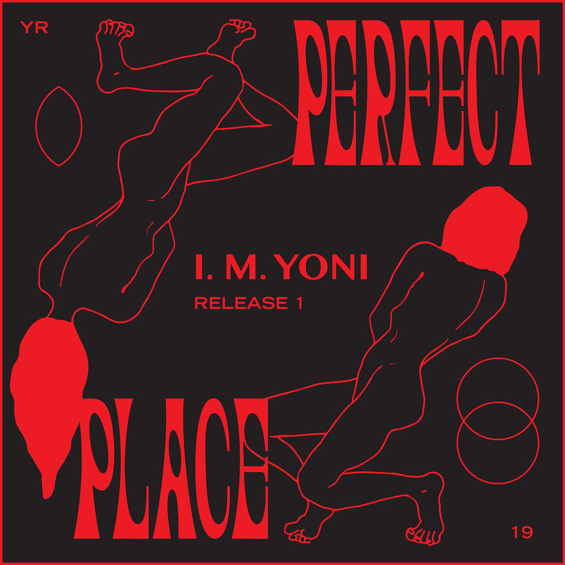 Постер альбома Perfect Place