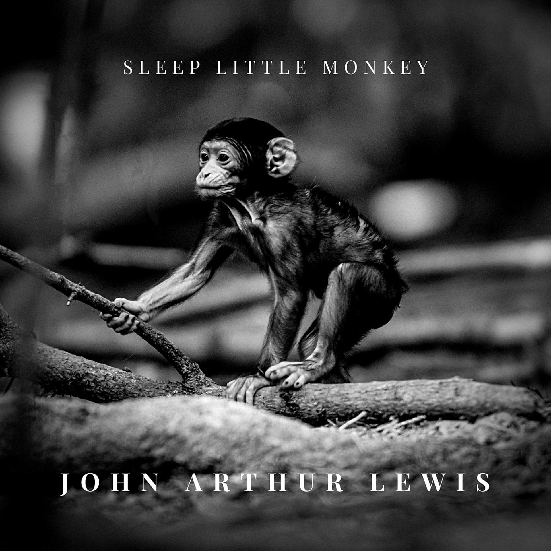 Постер альбома Sleep Little Monkey
