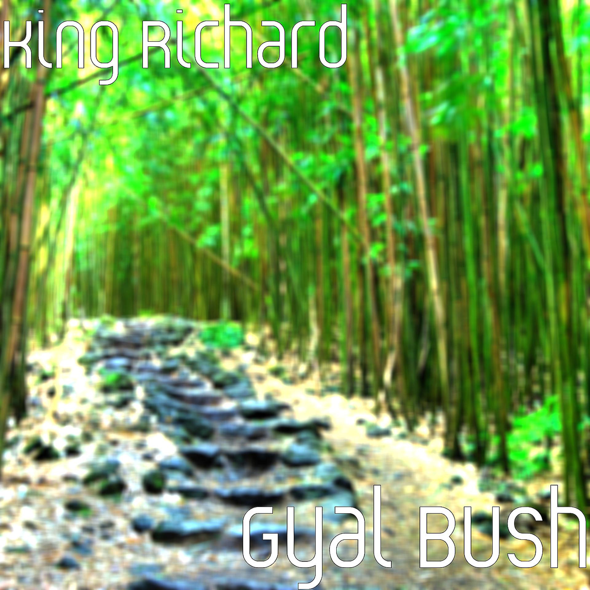 Постер альбома Gyal Bush
