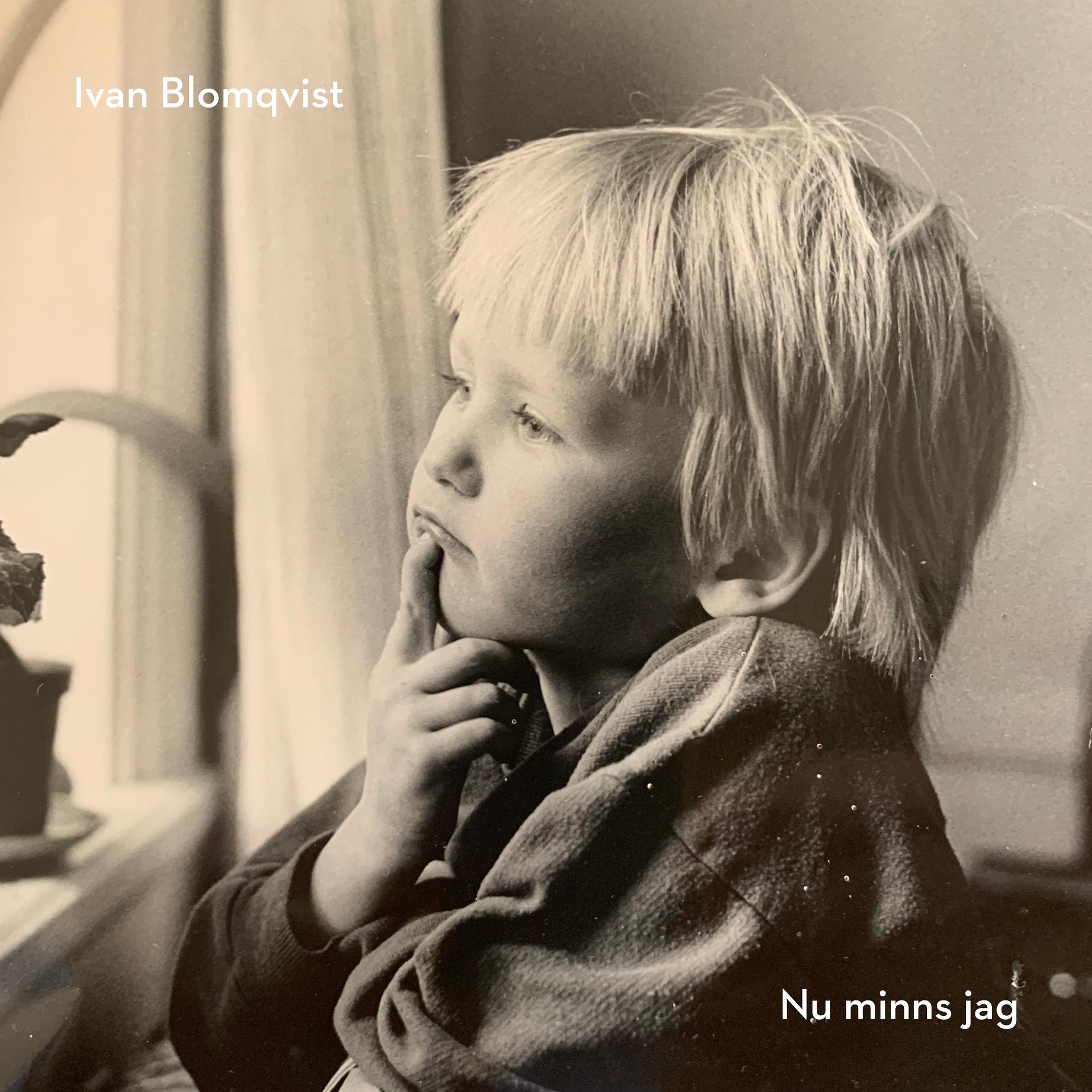 Постер альбома Nu minns jag