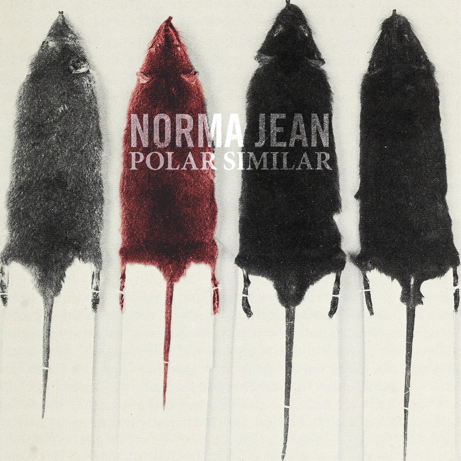 Постер альбома Polar Similar